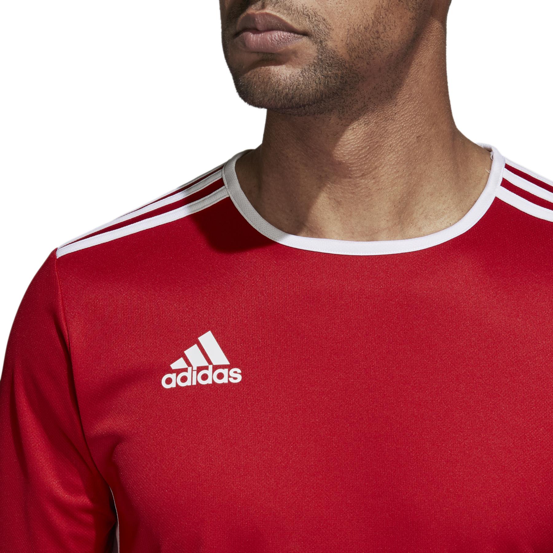 product/c/f/cf1038_on-model_detail-1_-_2000x2000.jpg