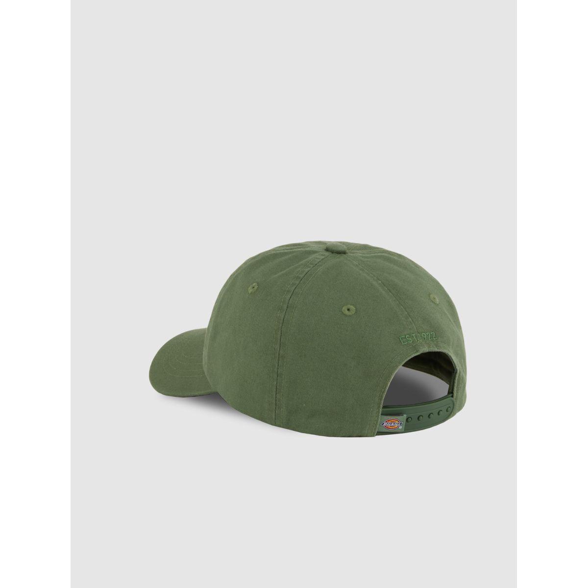 product/d/i/dickies_dk0a4tkvl191_vert_2.jpg