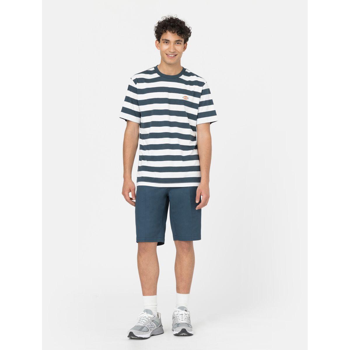 product/d/i/dickies_dk0a4xnfaf01_bleu_6.jpg