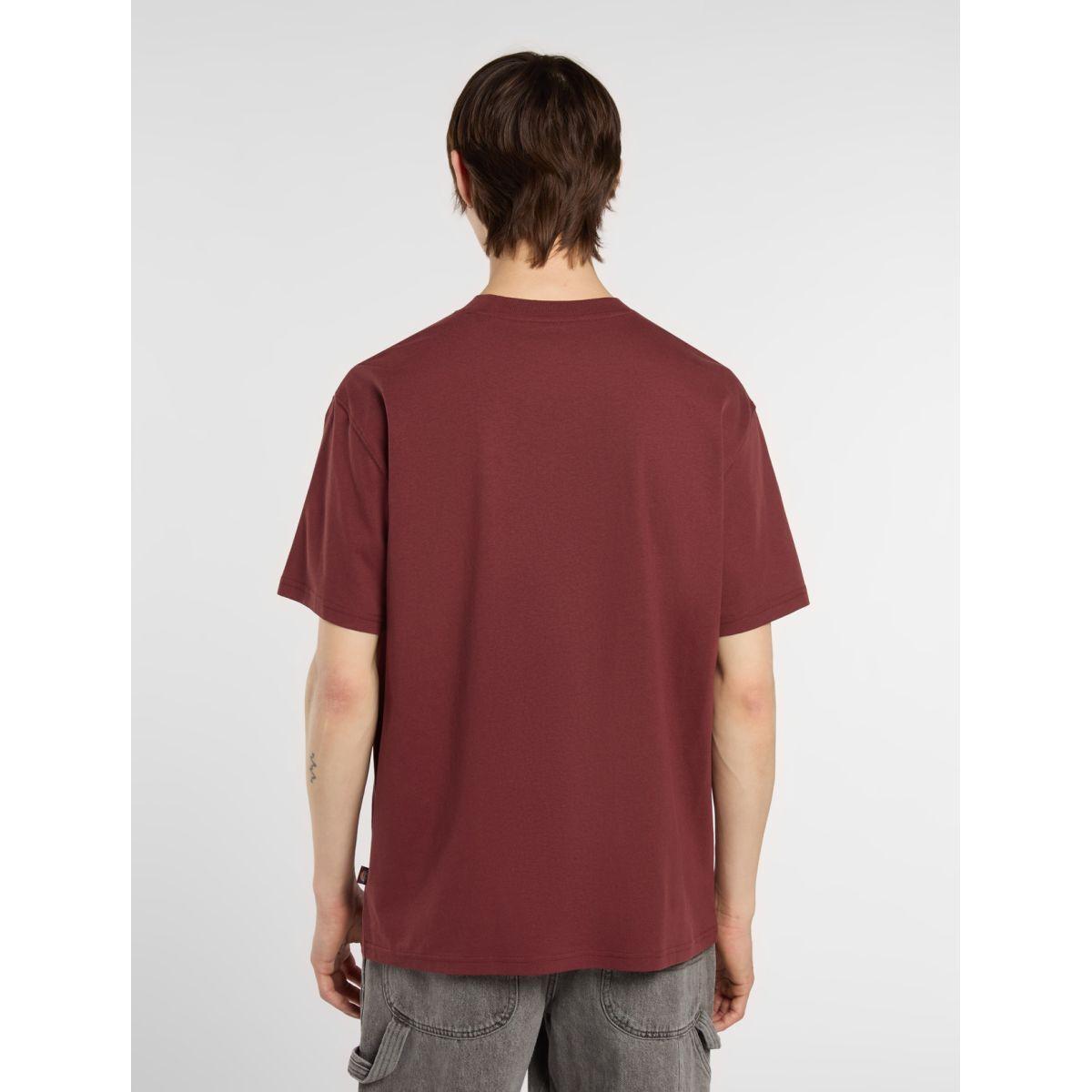 product/d/i/dickies_dk0a4yfcl161_andorra_2.jpg