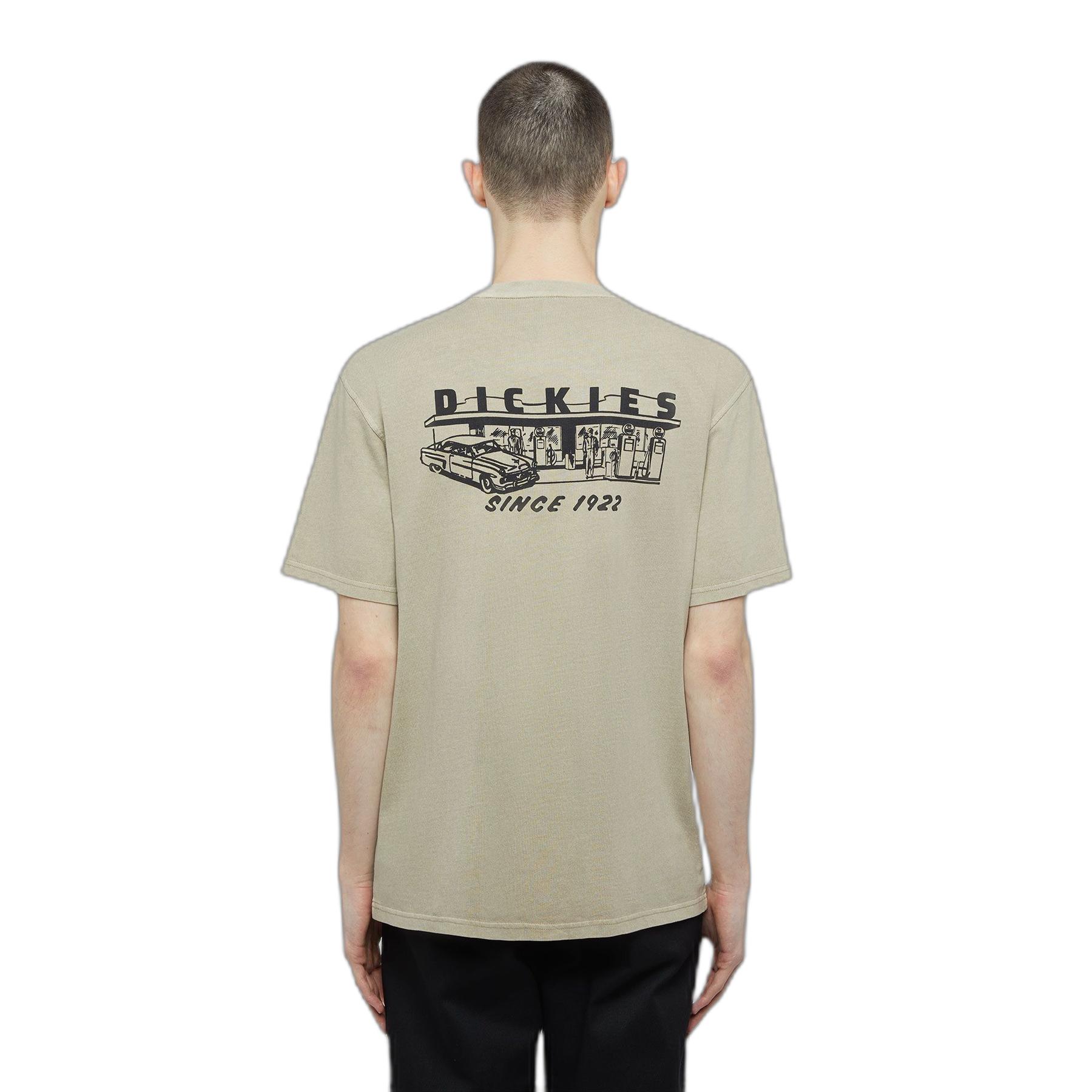 product/d/i/dickies_dk0a4z8x0ds1_desert-sand_1.jpg