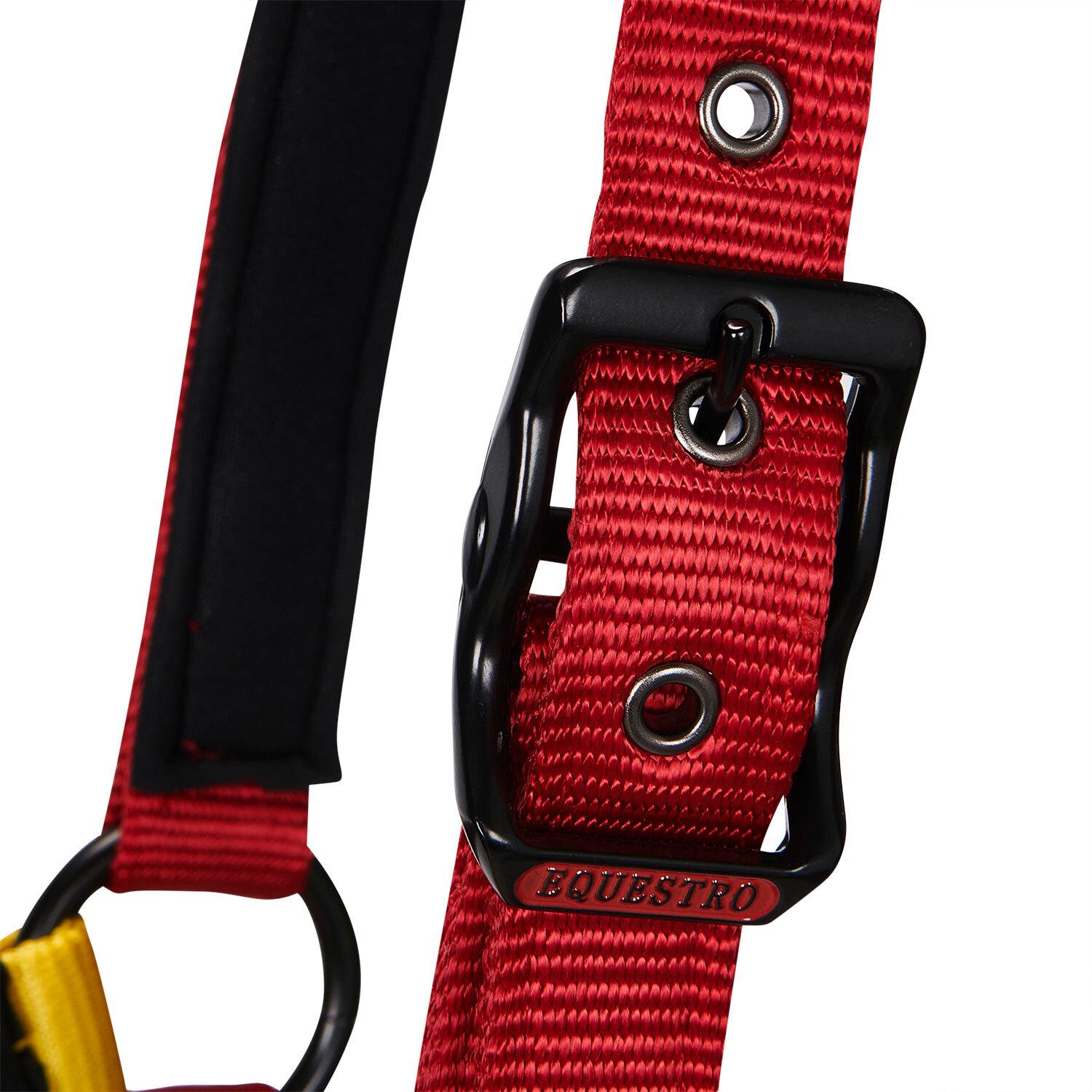 product/e/q/equestro_ca00512-black_red_yellow_black-red-yellow_3.jpg