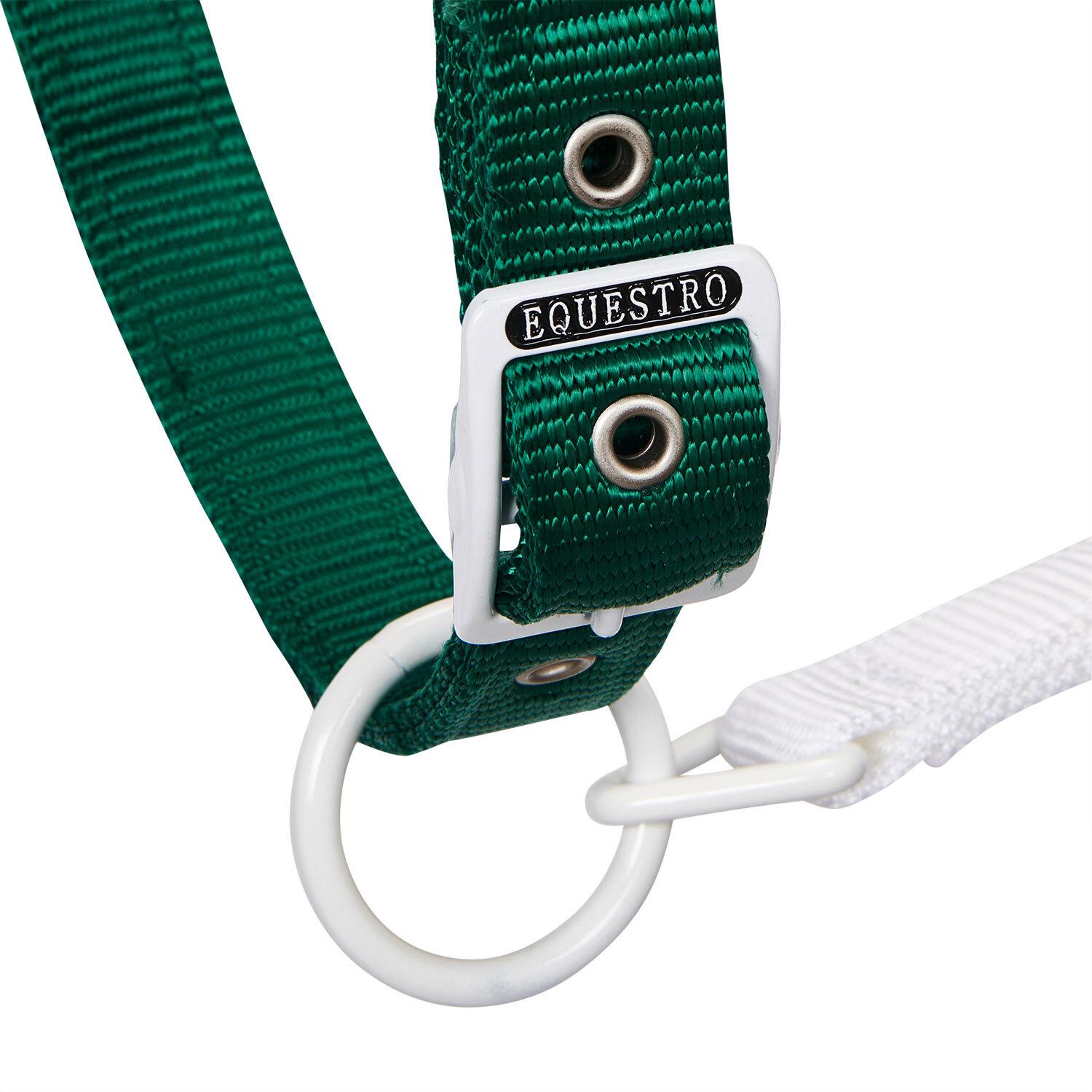 product/e/q/equestro_ca00512-green_white_red_green-white-red_4.jpg