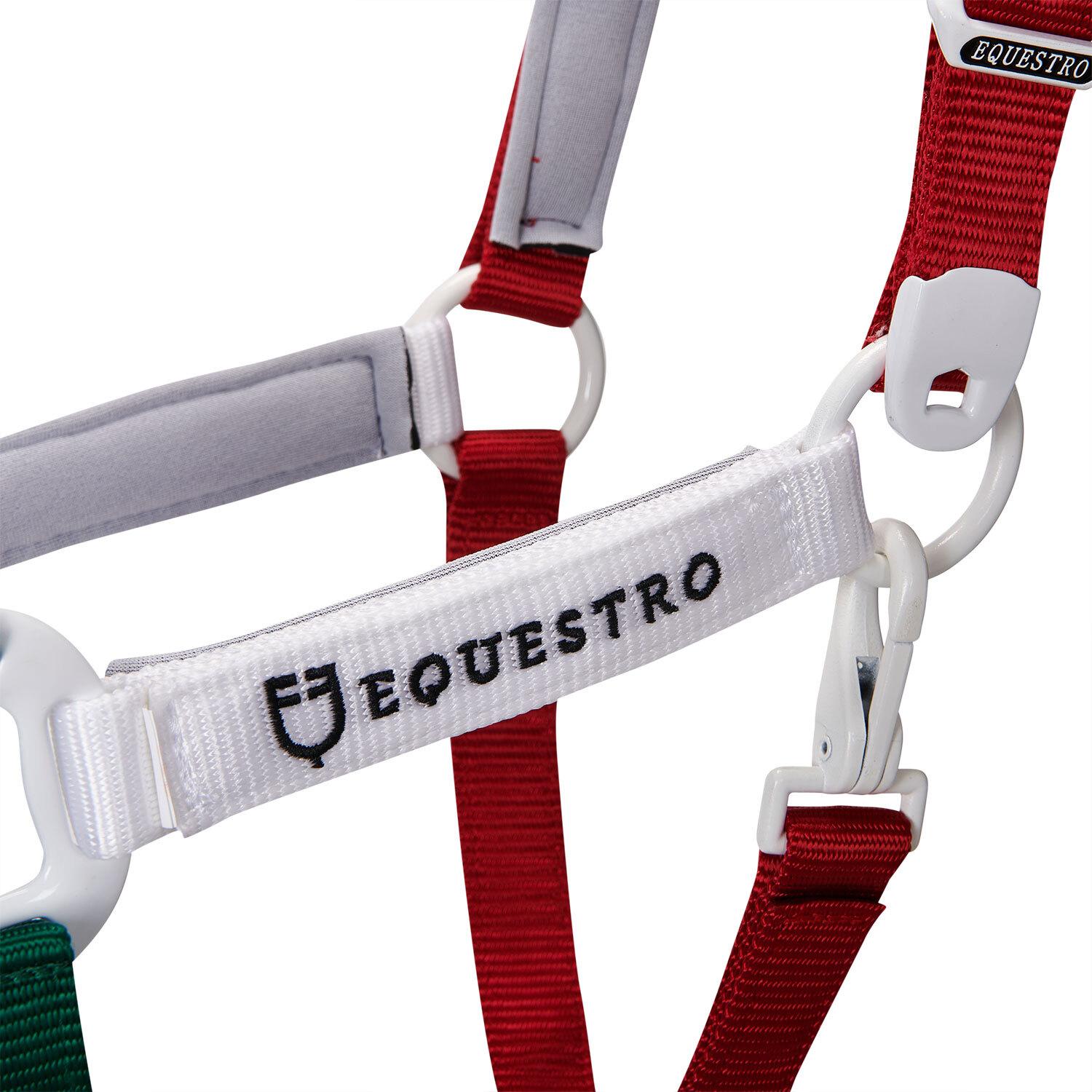 product/e/q/equestro_ca00512-green_white_red_green-white-red_6.jpg