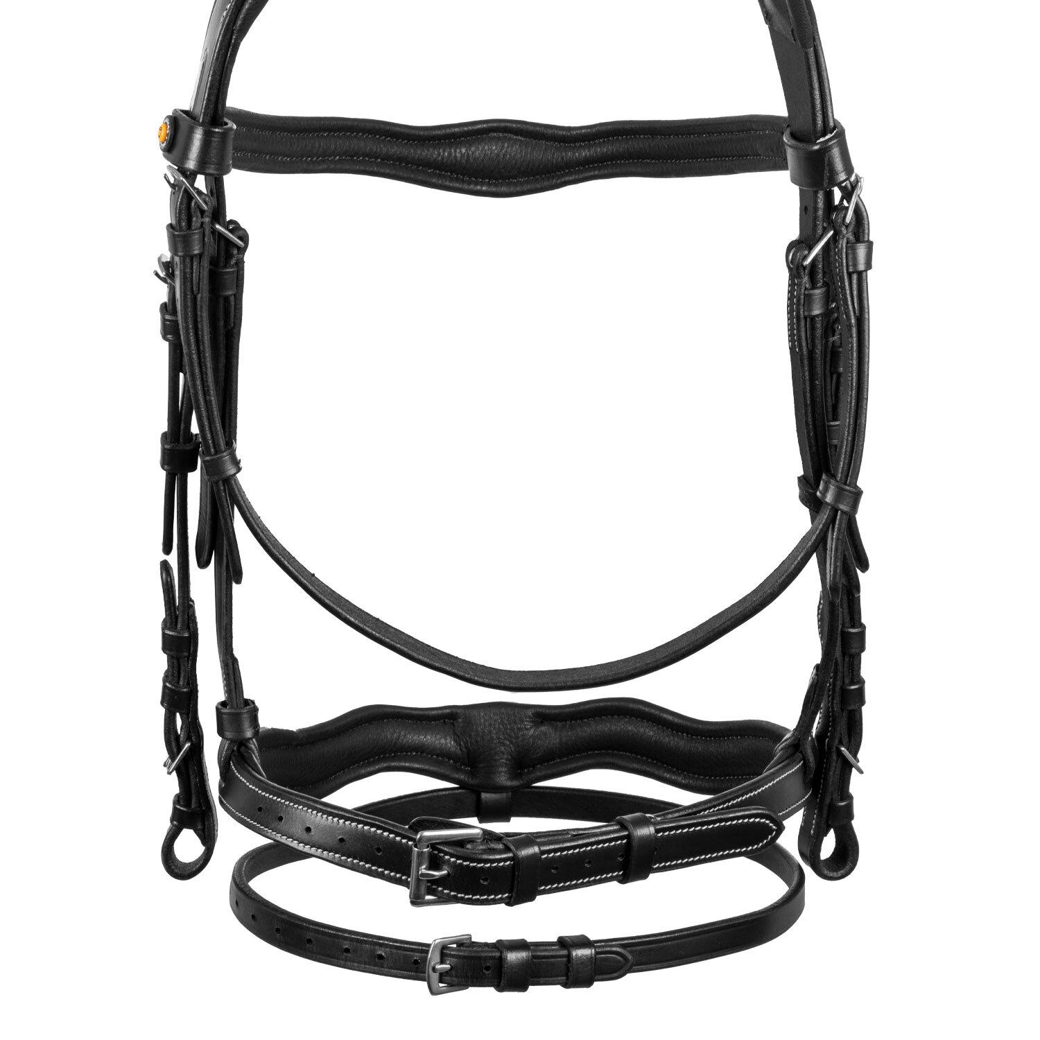 product/e/q/equestro_eth01009-black_noir_6.jpg