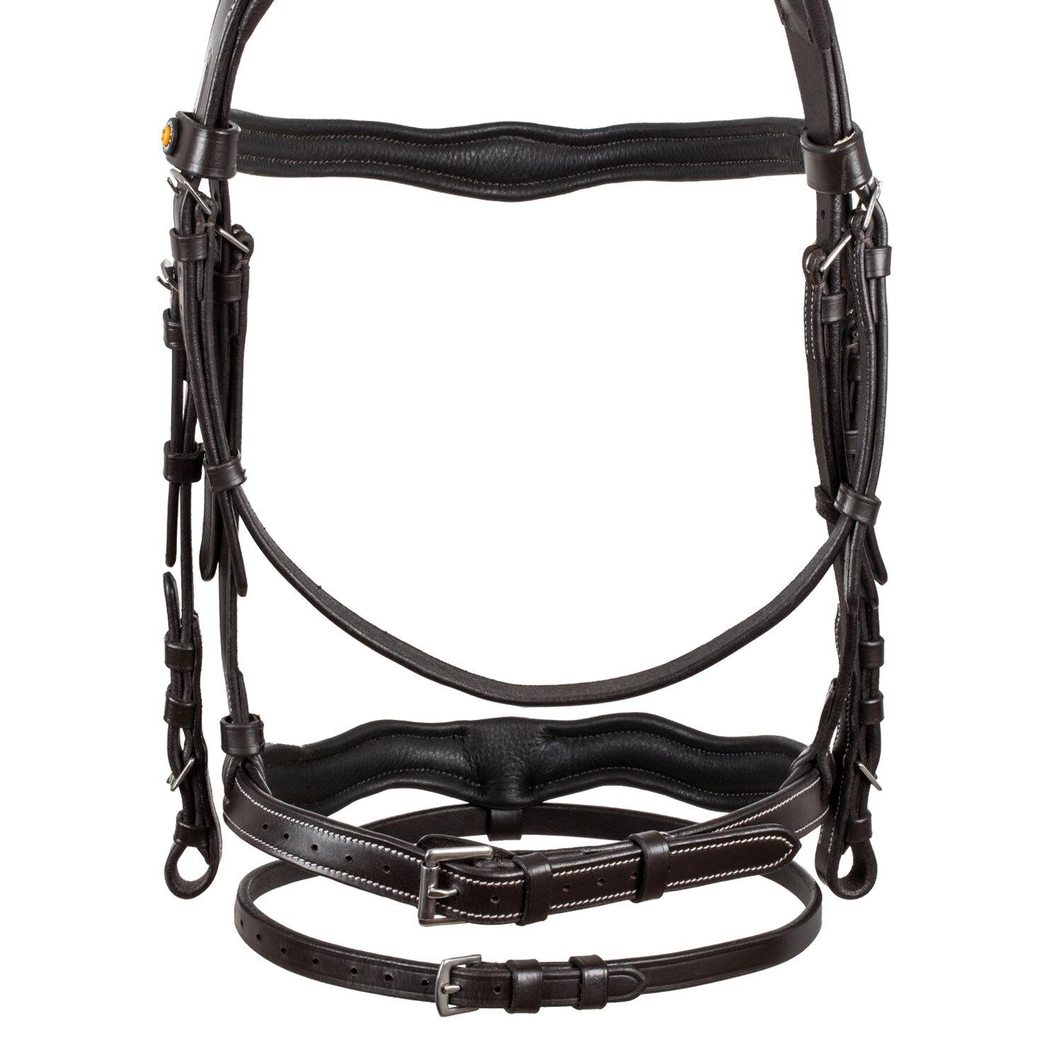 product/e/q/equestro_eth01009-darkbrown_marron_6.jpg