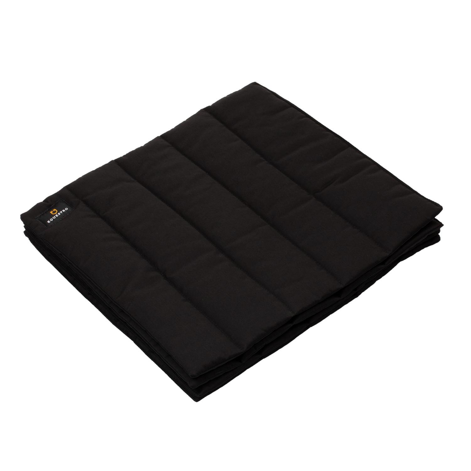 product/e/q/equestro_eth07008-black_black_2.jpg