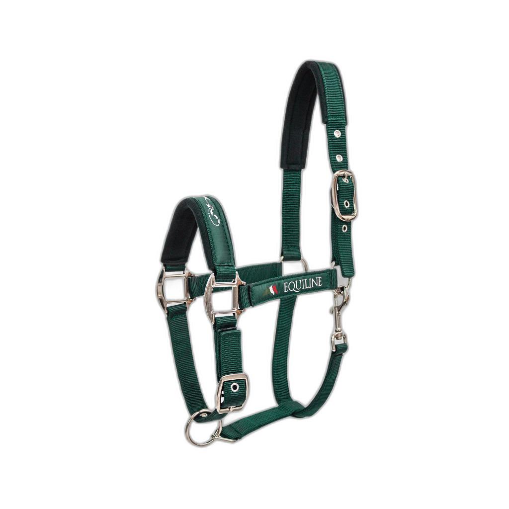 product/e/q/equiline_ec018pe00123-008_mag3998894_1.jpg