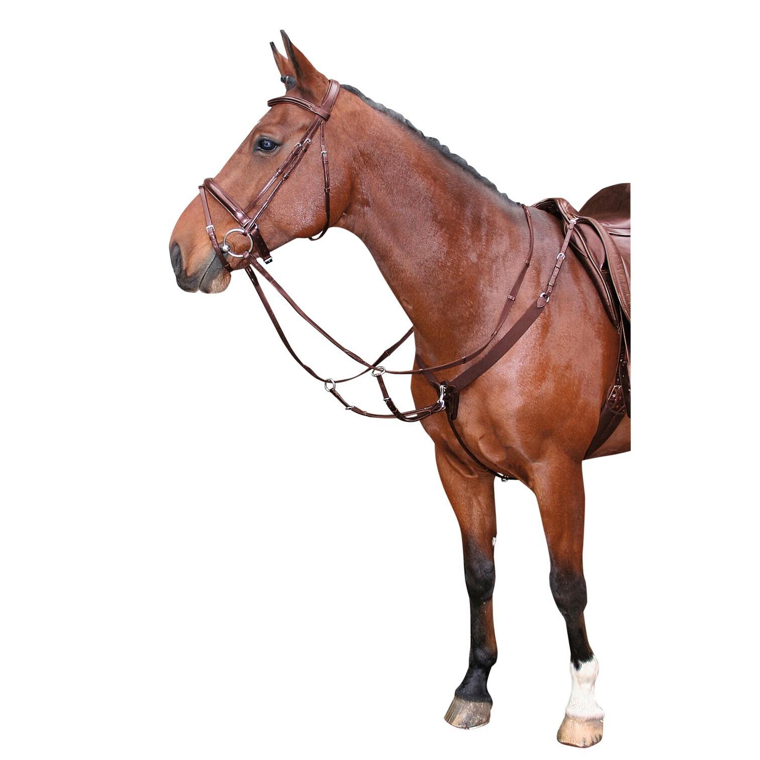 product/h/a/harry-s-horse_28300070-03_2_2.jpg