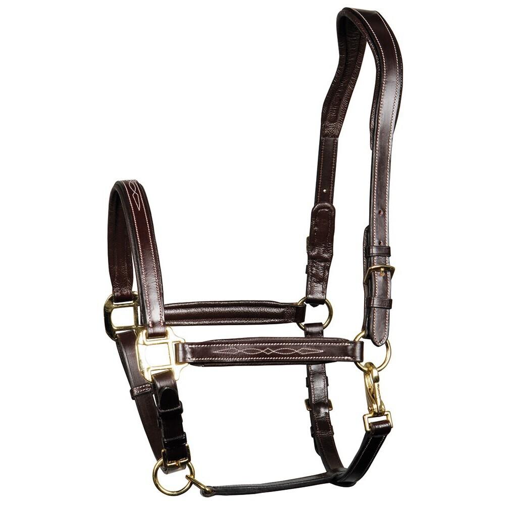 product/h/a/harry-s-horse_28500001-03_1_2.jpg