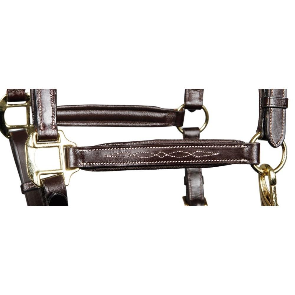 product/h/a/harry-s-horse_28500001-03_2_2.jpg