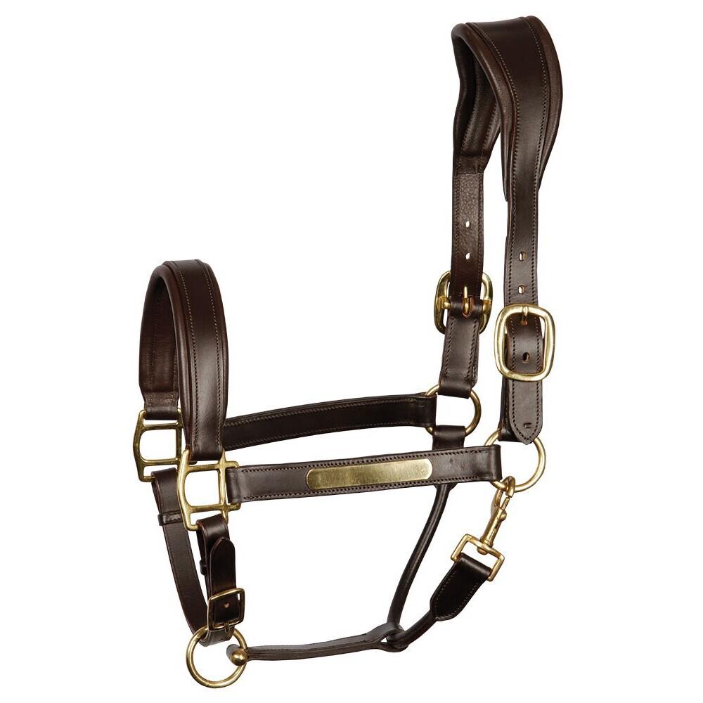 product/h/a/harry-s-horse_28500003-03_1_2.jpg