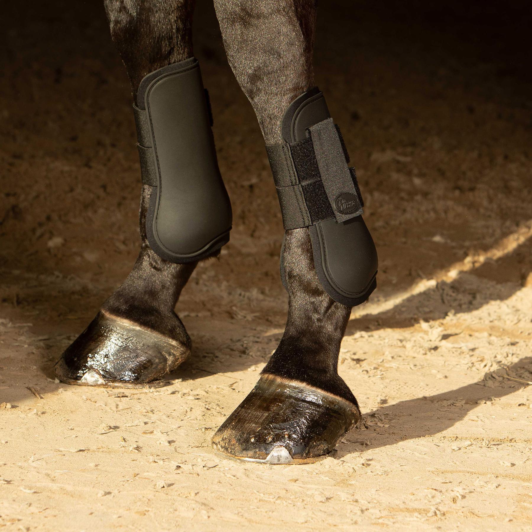 product/h/a/harry-s-horse_33200010-05_1.jpg