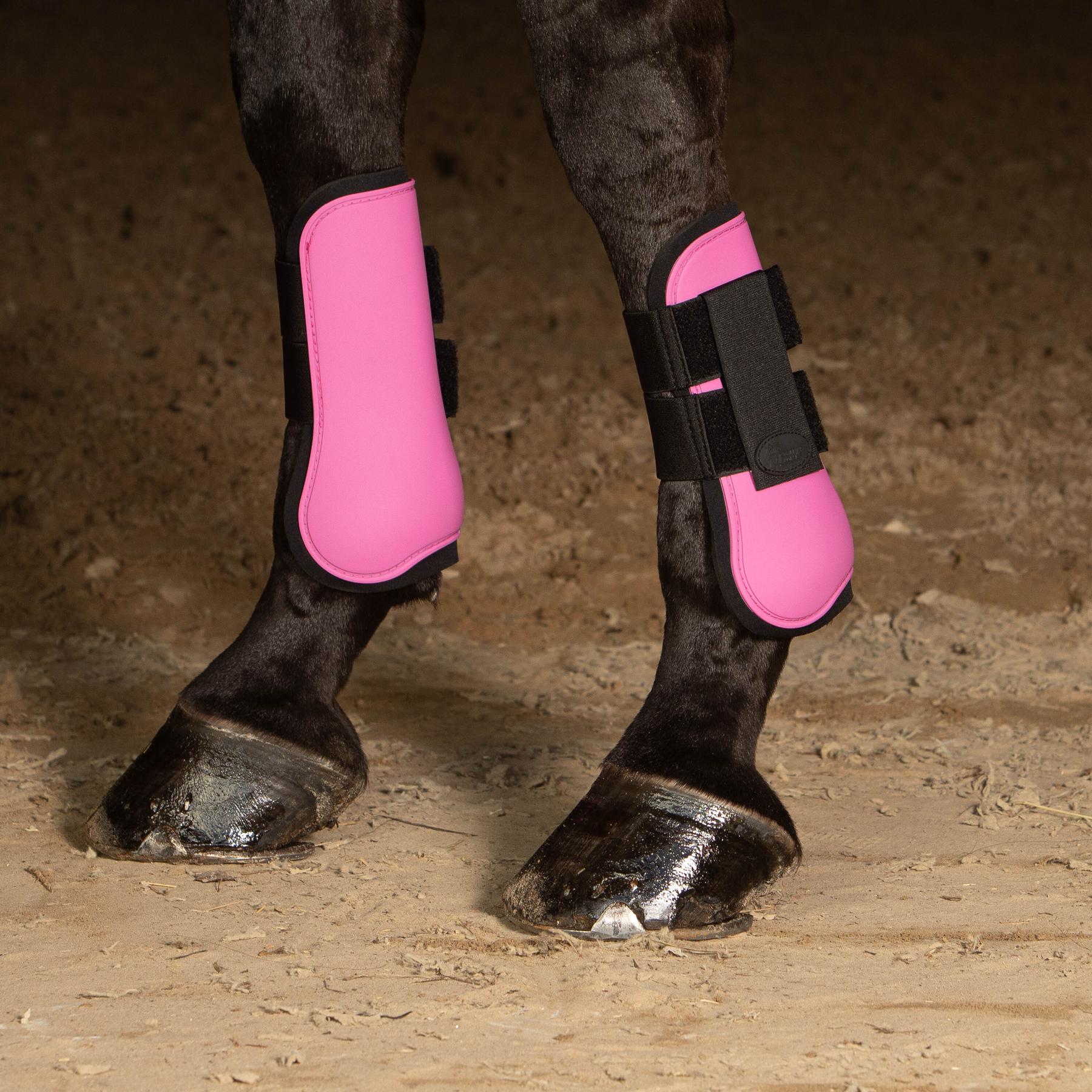 product/h/a/harry-s-horse_33200010-10_1.jpg