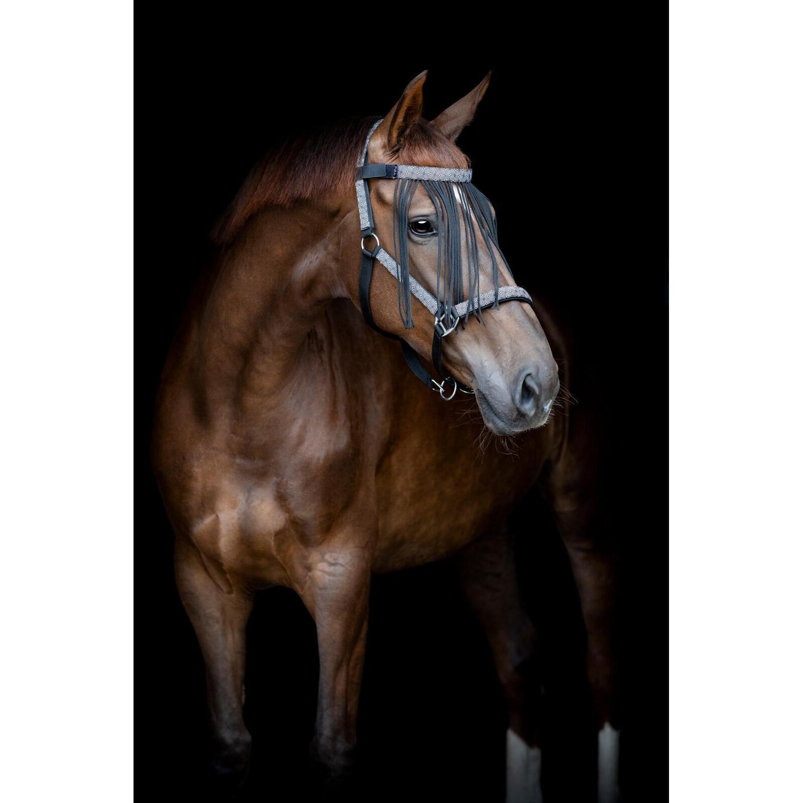 product/h/o/horseguard_505034001_sort_2.jpg