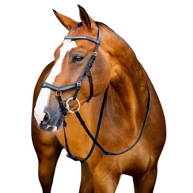 product/h/o/horseware_sbmrm0-k000_0.jpg