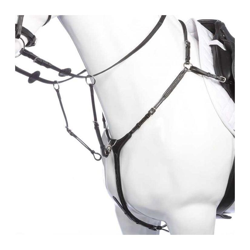 product/k/a/kavalkade_0169031150200_3.jpg