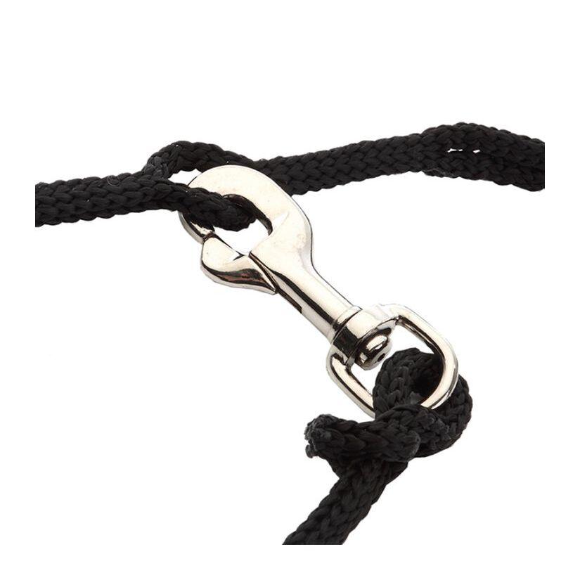 product/k/a/kavalkade_0264061350200_mag4385699_2.jpg