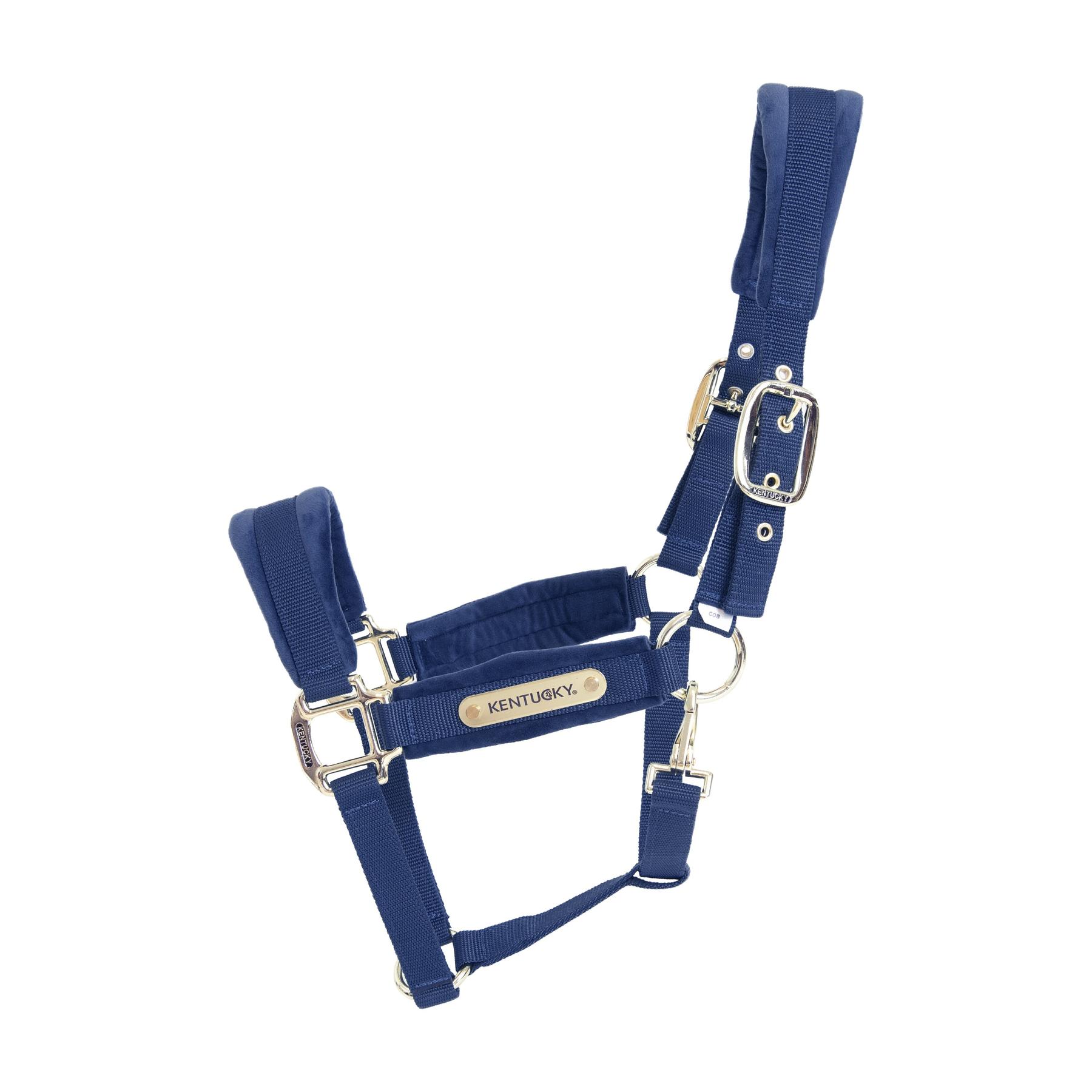 product/k/e/kentucky_42558-03.jpg