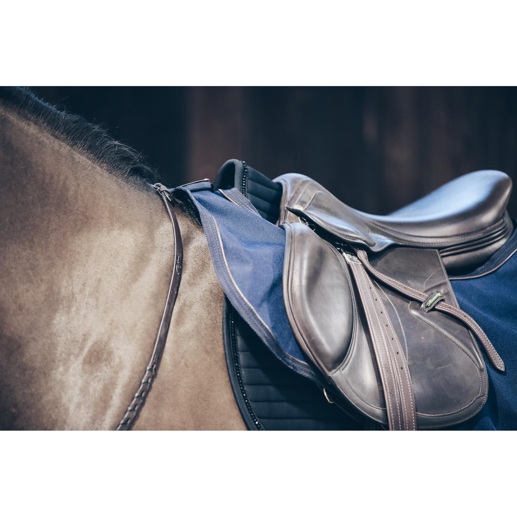 product/k/e/kentucky_52117-03-l_4.jpg