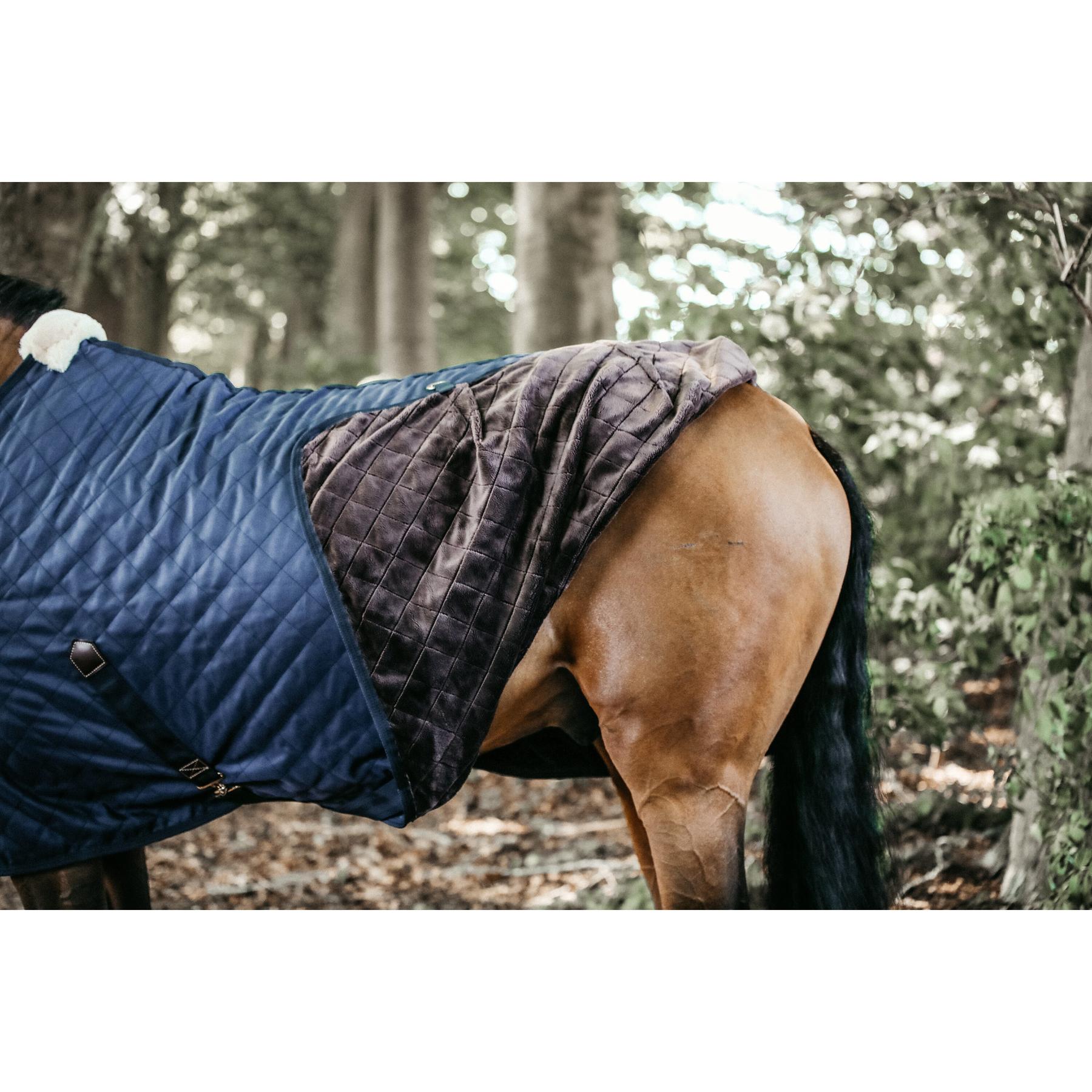 product/k/e/kentucky_52124-03_2.jpg