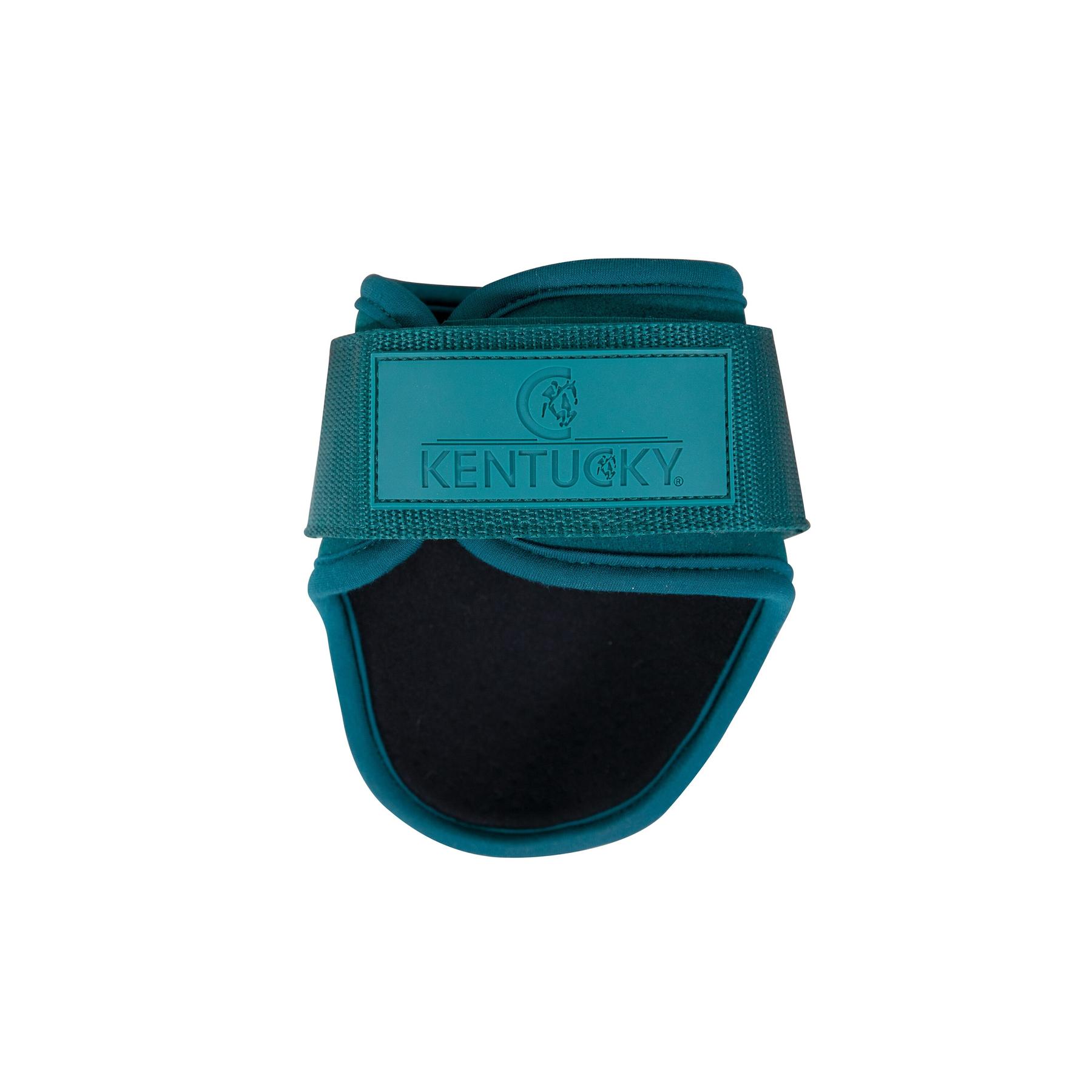 product/k/e/kentucky_88201-71_3.jpg