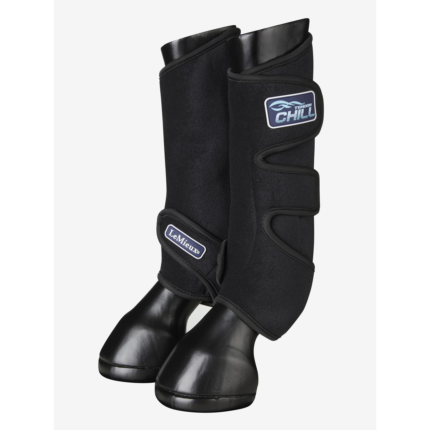 product/l/e/lemieux_it00591001_0_1.jpg
