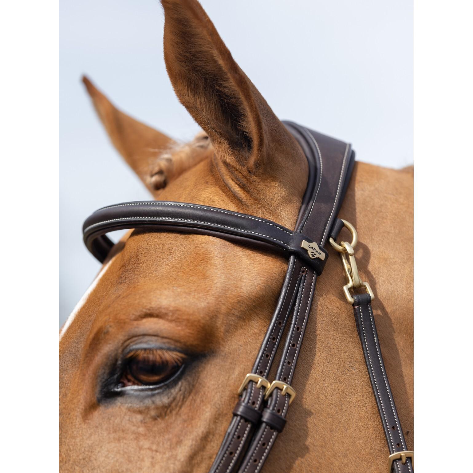 product/l/e/lemieux_it02638_2.jpg