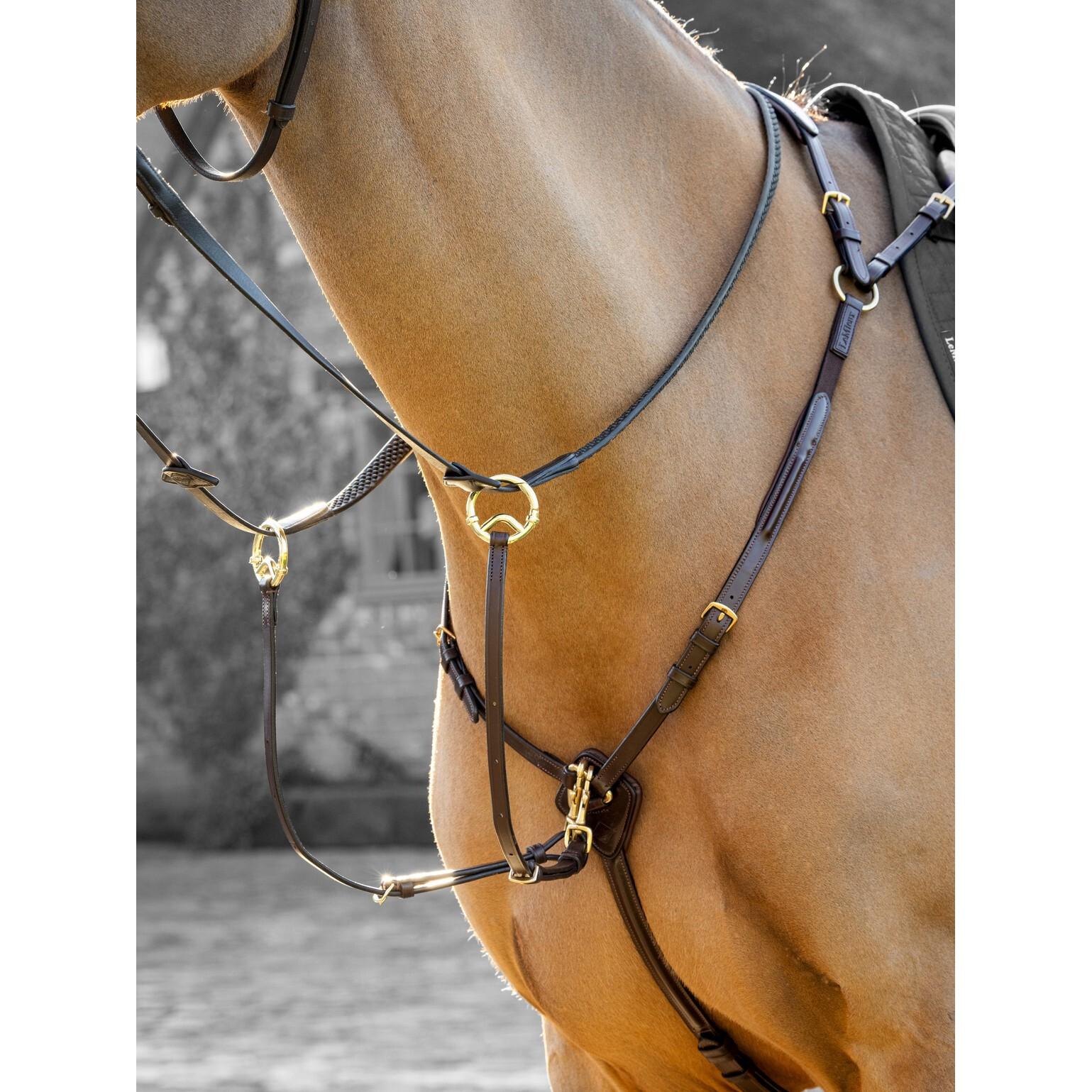 product/l/e/lemieux_it02646_4.jpg