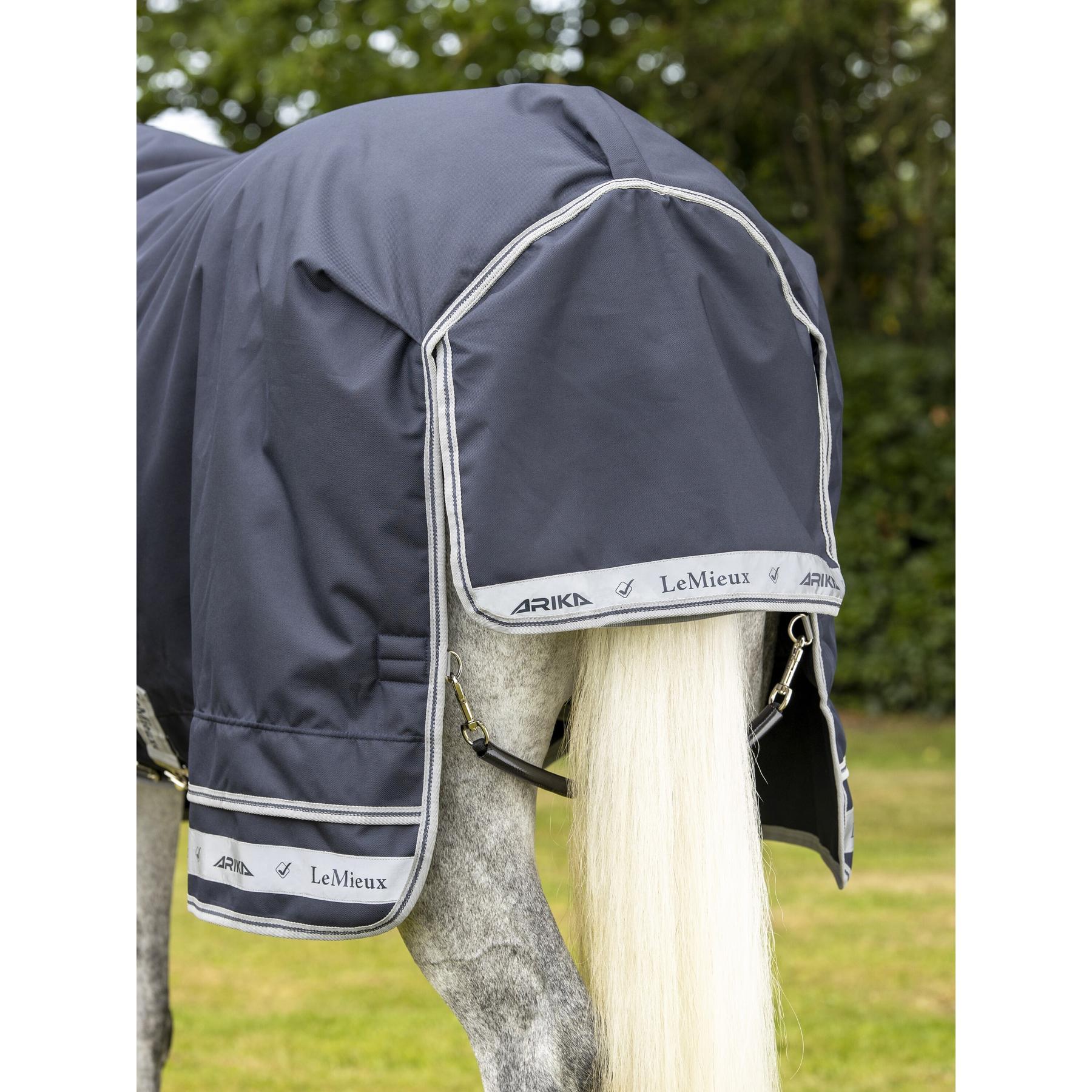 product/l/e/lemieux_it03827025_5.jpg