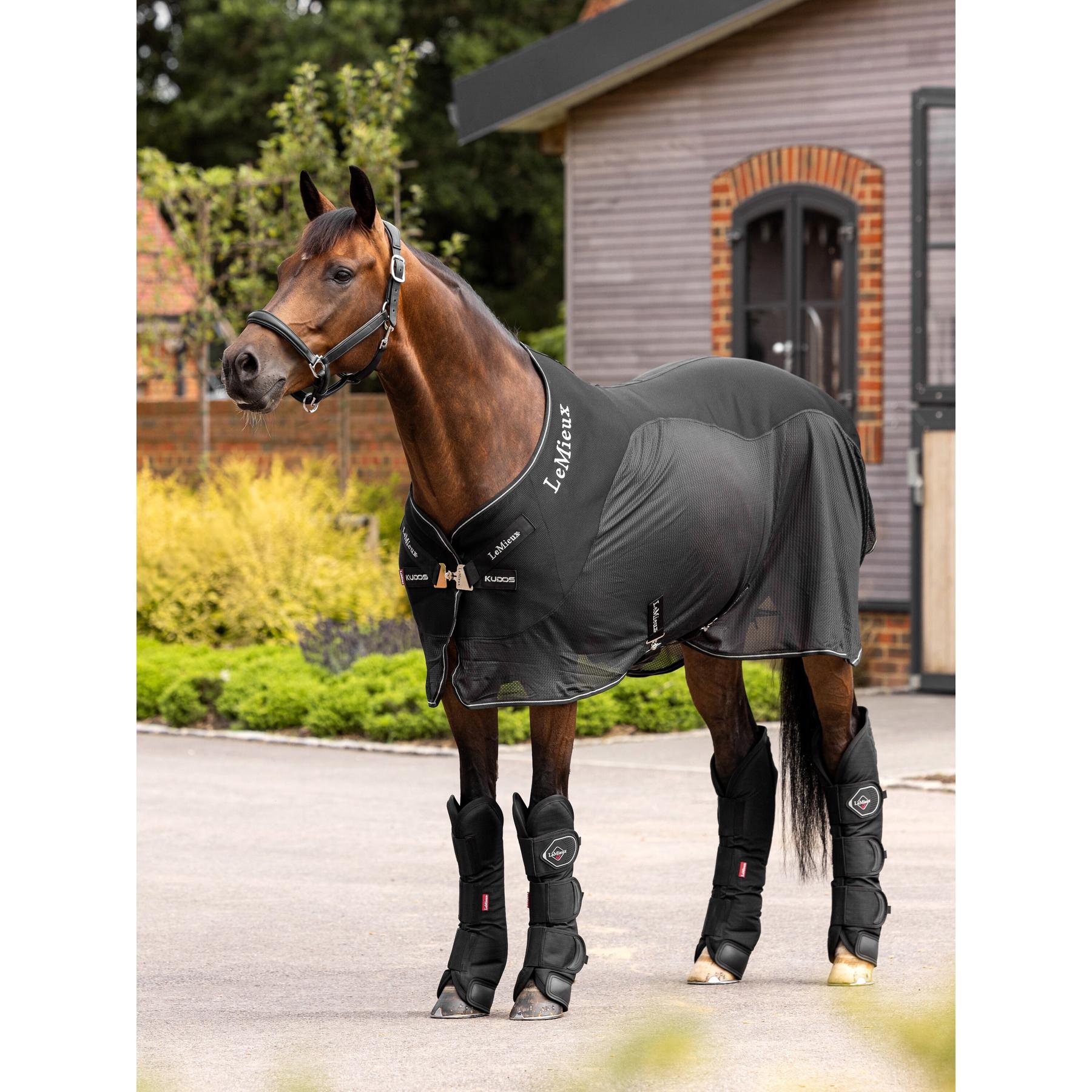 product/l/e/lemieux_it04494007_2.jpg