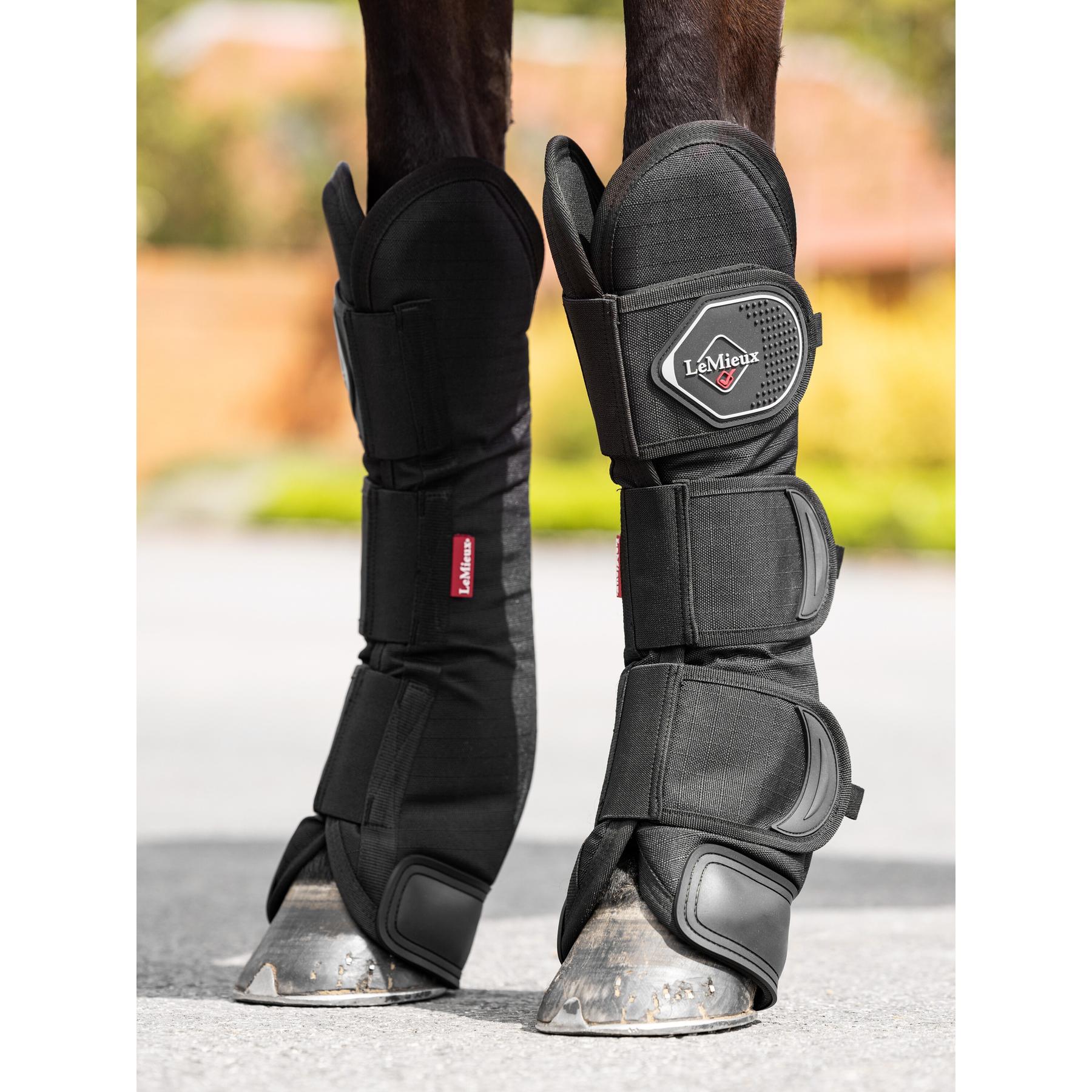 product/l/e/lemieux_it04494007_3.jpg