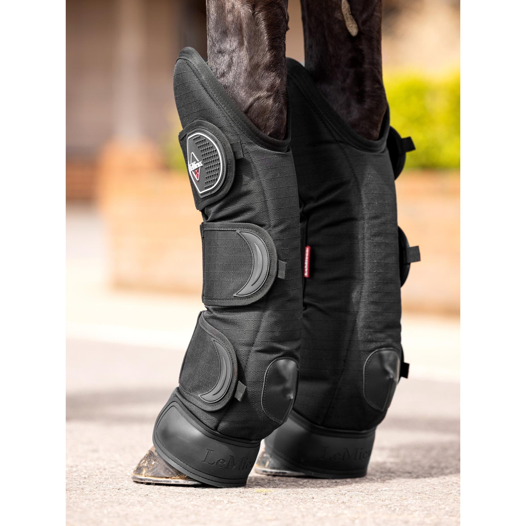 product/l/e/lemieux_it04494007_4.jpg