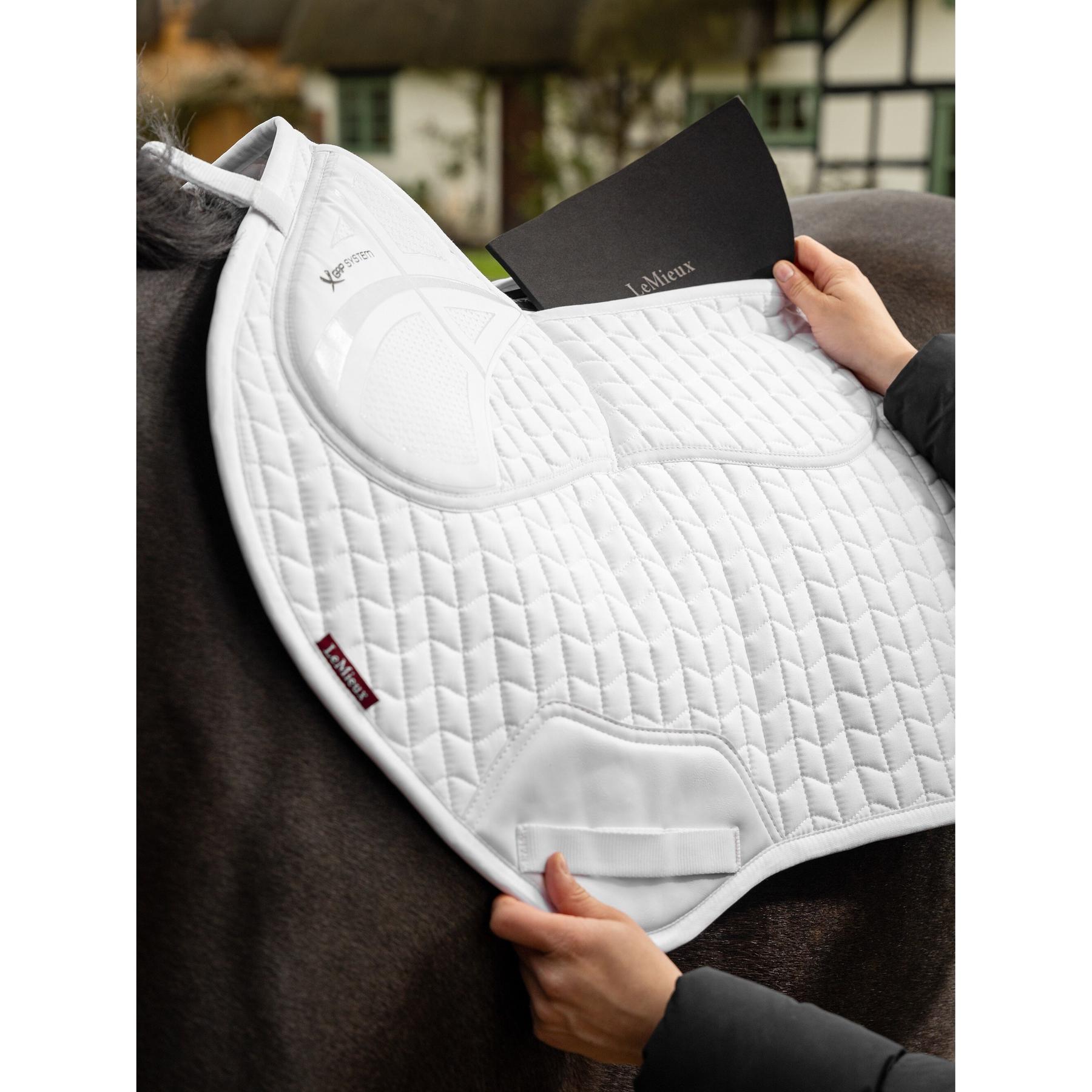 product/l/e/lemieux_it04901005_3.jpg