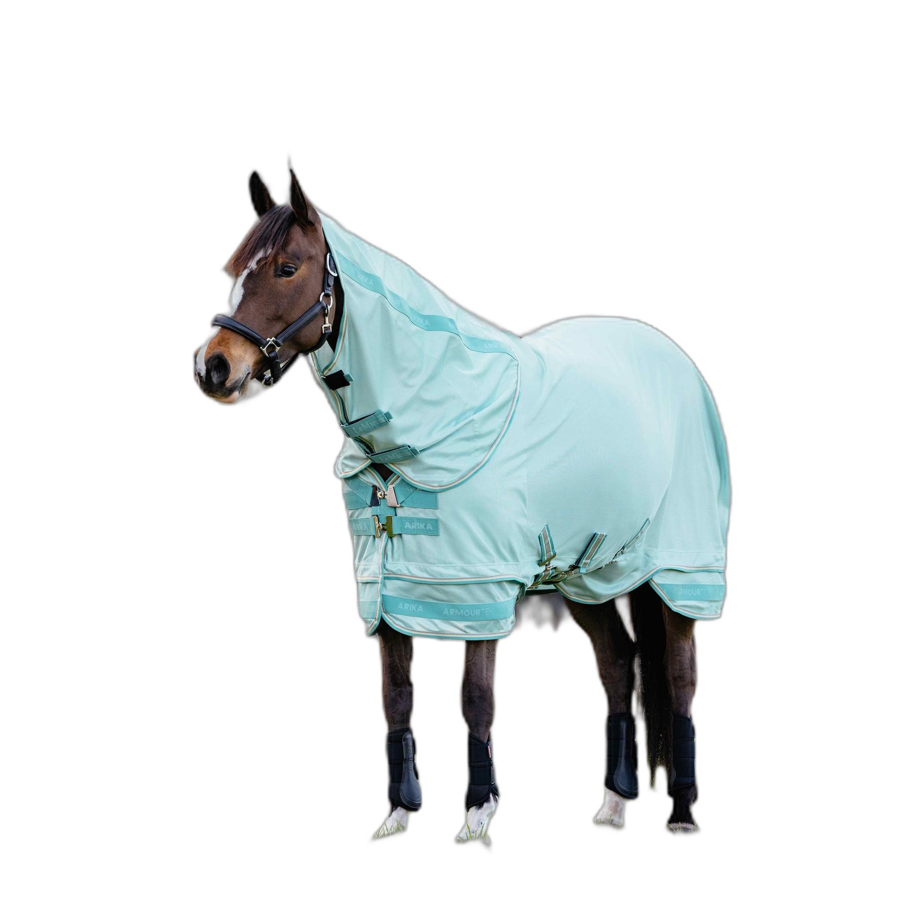 product/l/e/lemieux_it06042025_aqua_2.jpg