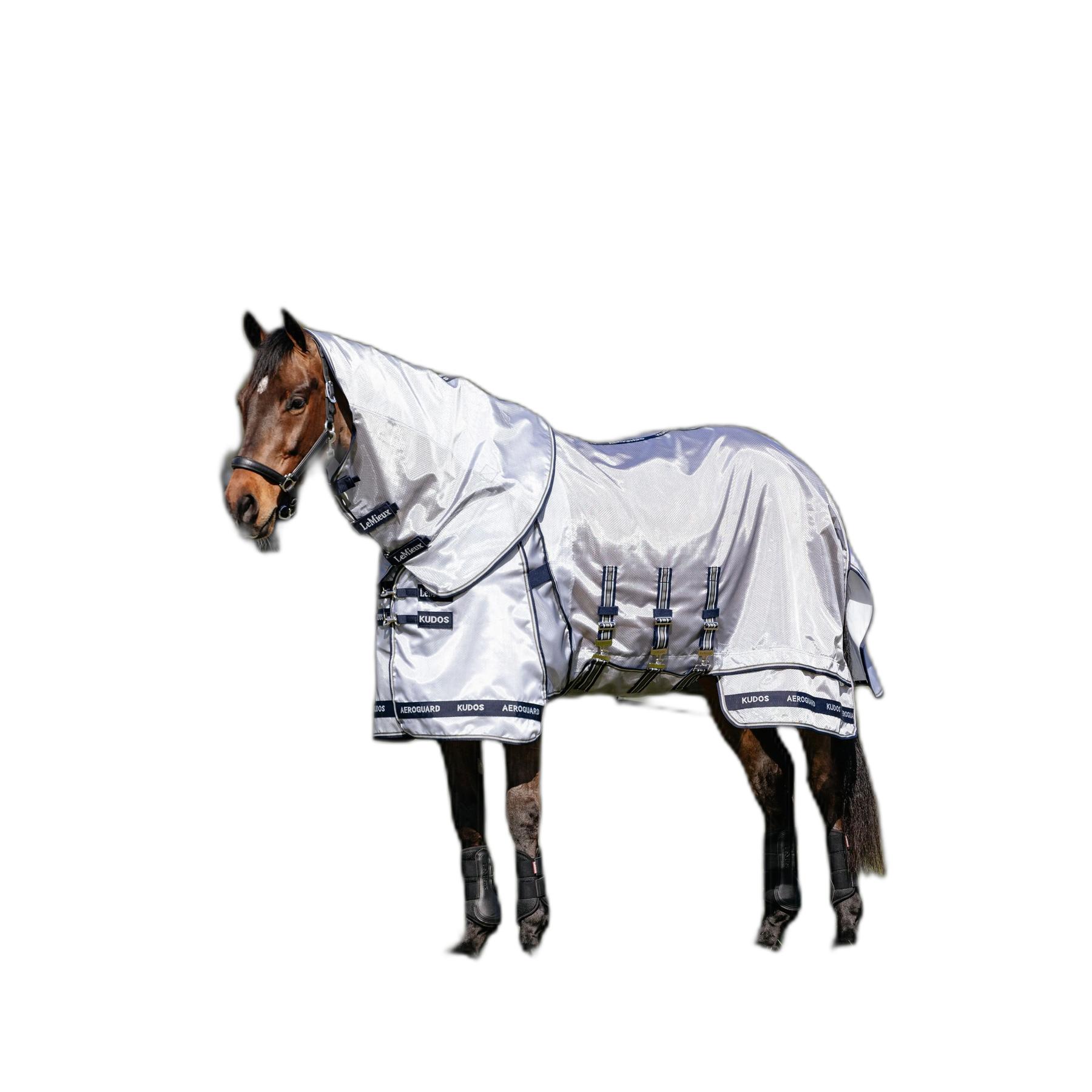 product/l/e/lemieux_it06259025_argent_1.jpg
