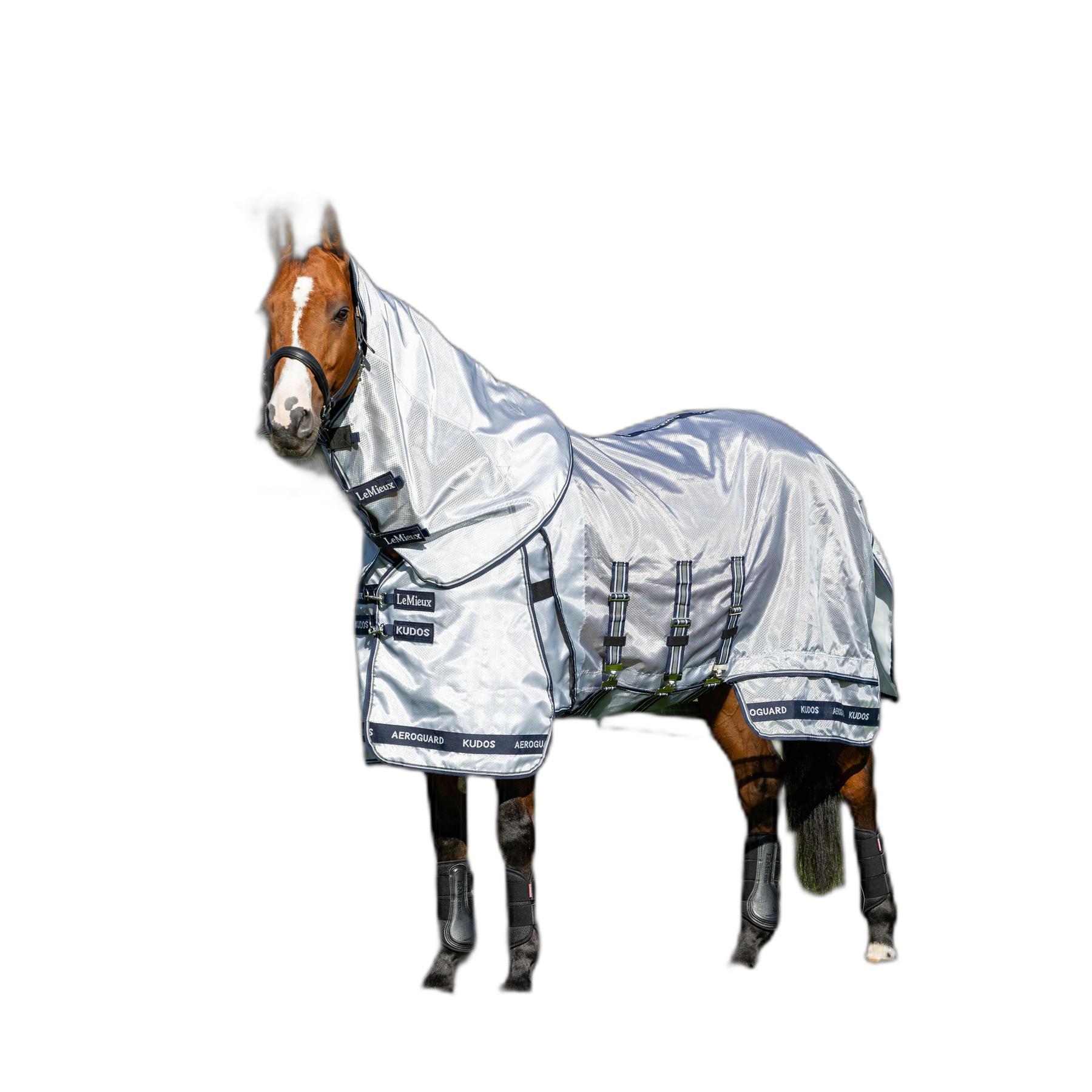 product/l/e/lemieux_it06259025_argent_2.jpg