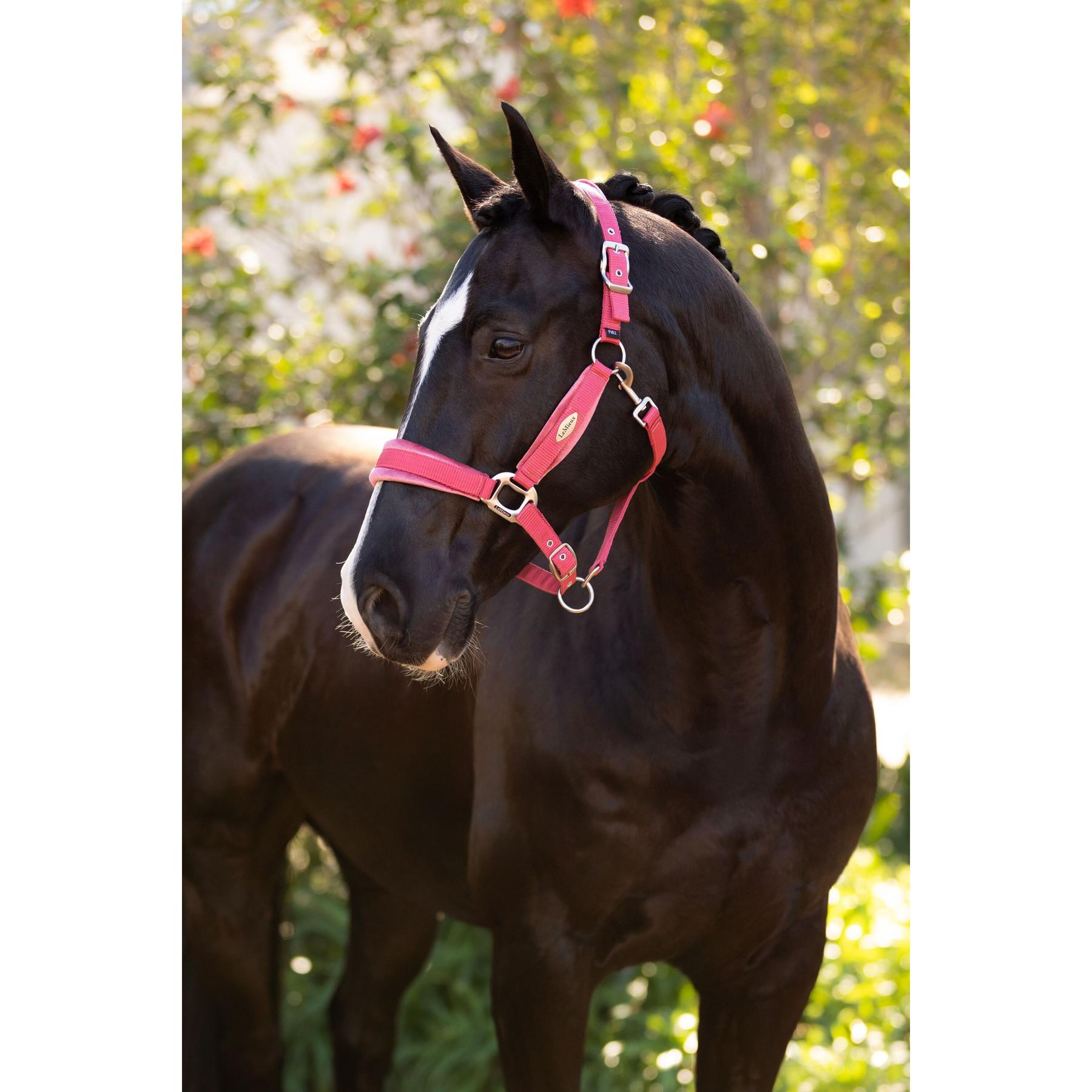 product/l/e/lemieux_it06972007_cranberry_2.jpg