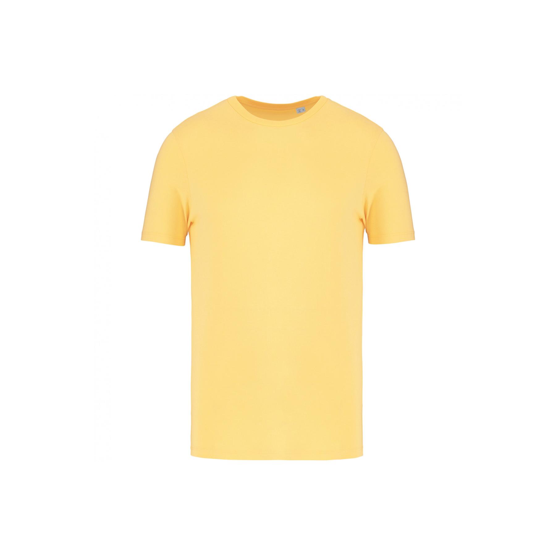 product/n/a/native-spirit_ns300-pineapple_0.jpg