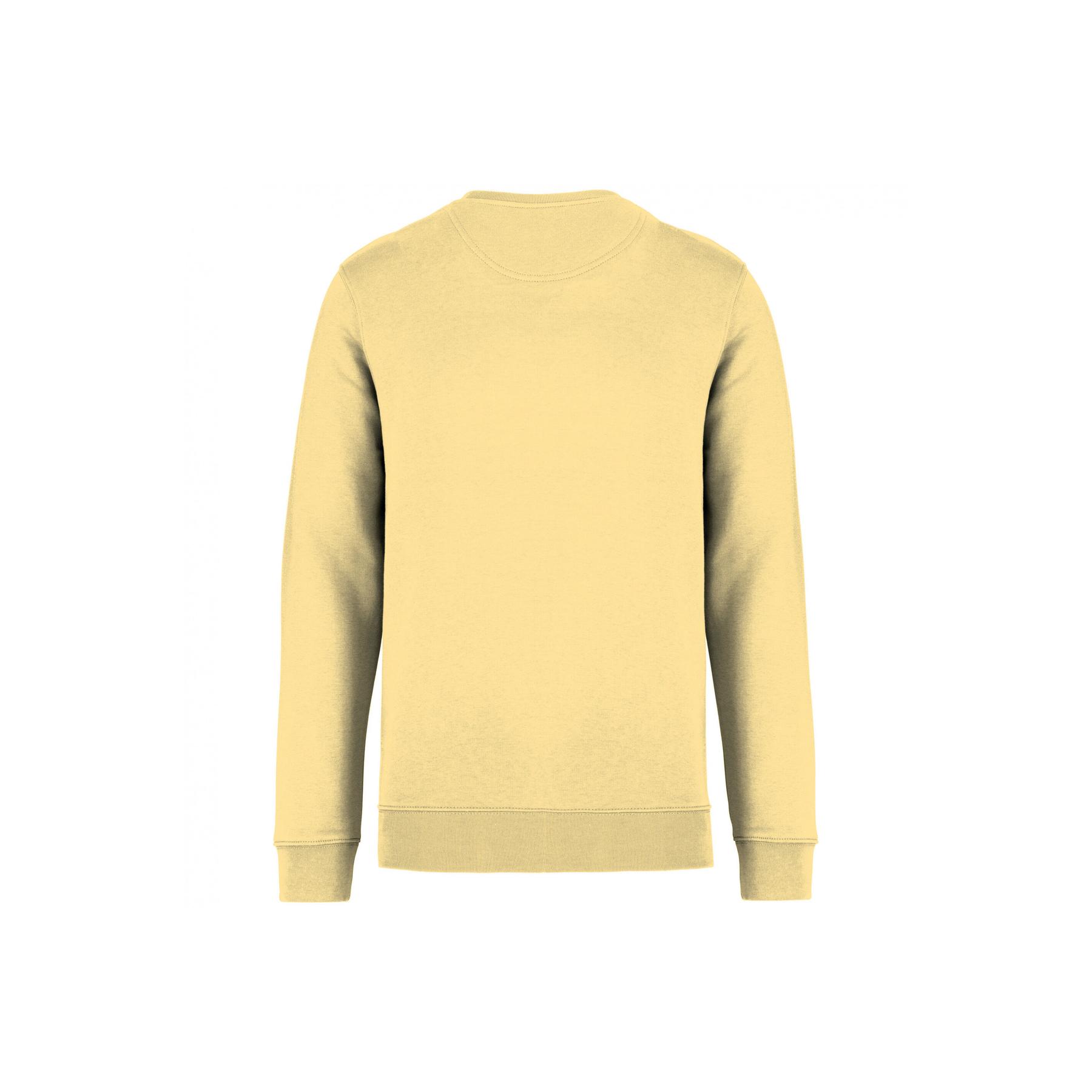 product/n/a/native-spirit_ns400-pineapple_1.jpg