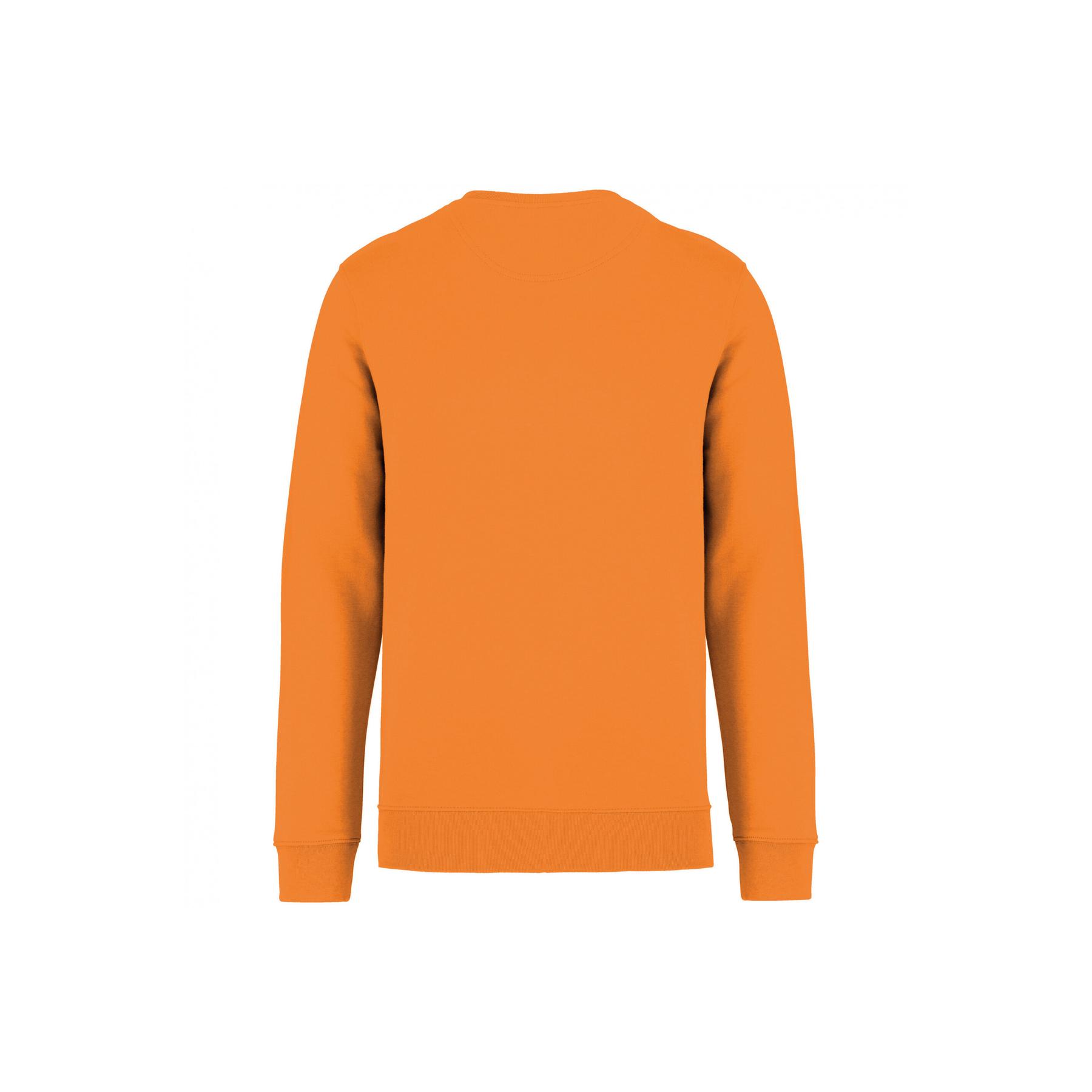 product/n/a/native-spirit_ns400-tangerine_1.jpg