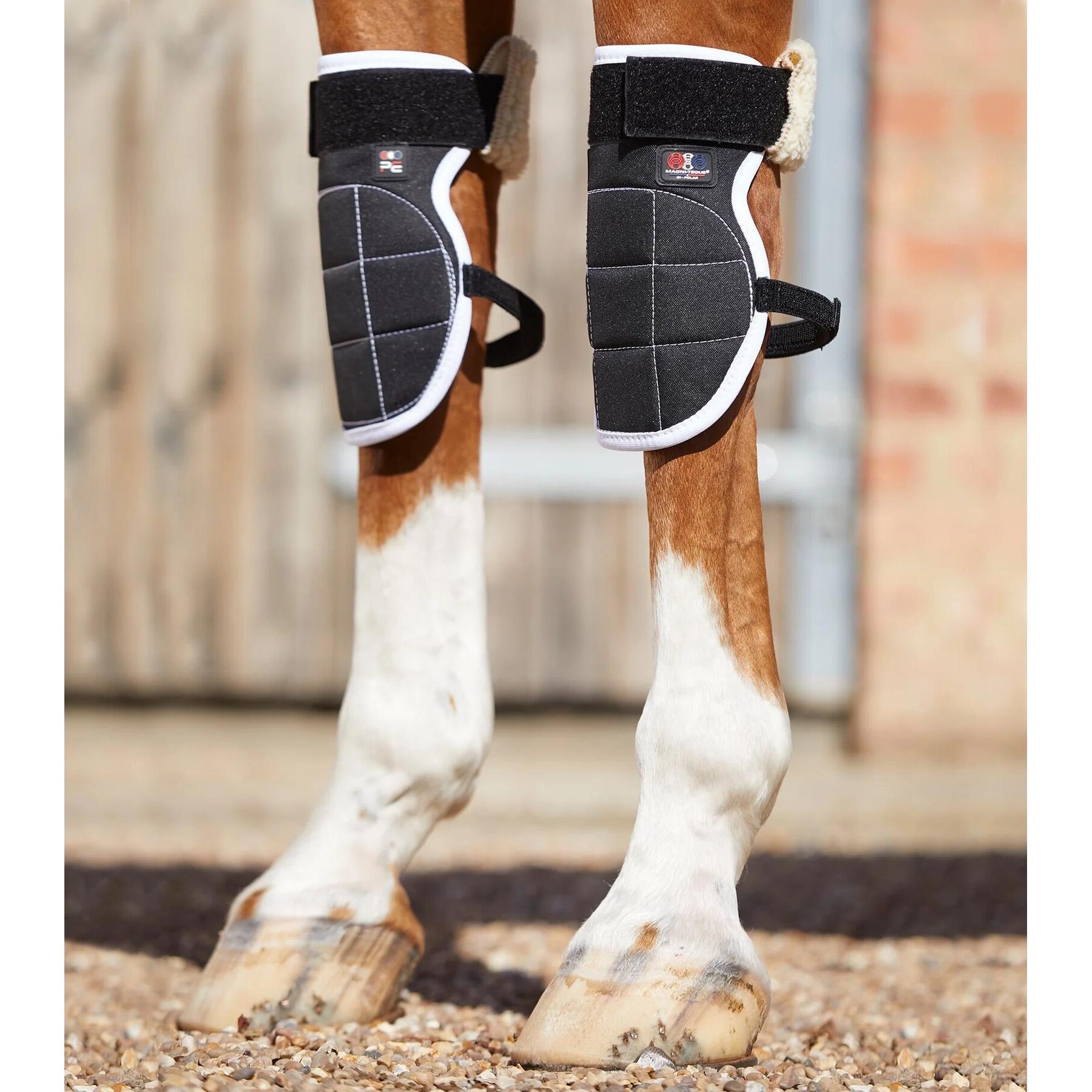 product/p/r/premier-equine_1014_1.jpg