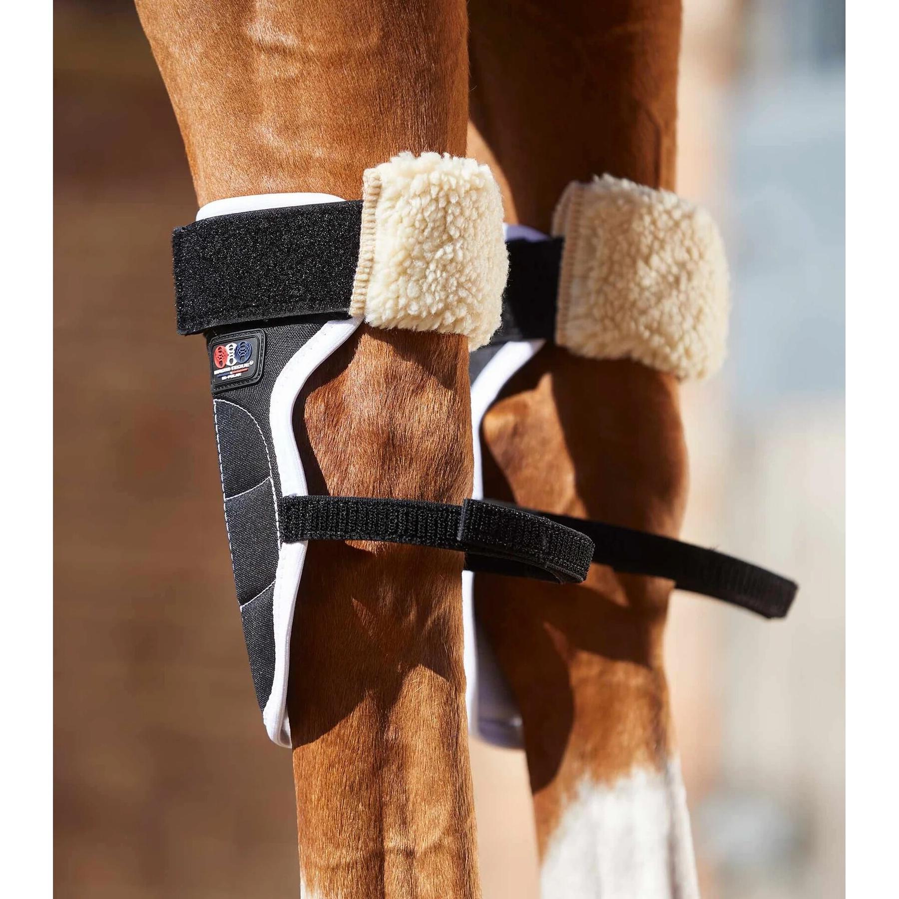 product/p/r/premier-equine_1014_3.jpg