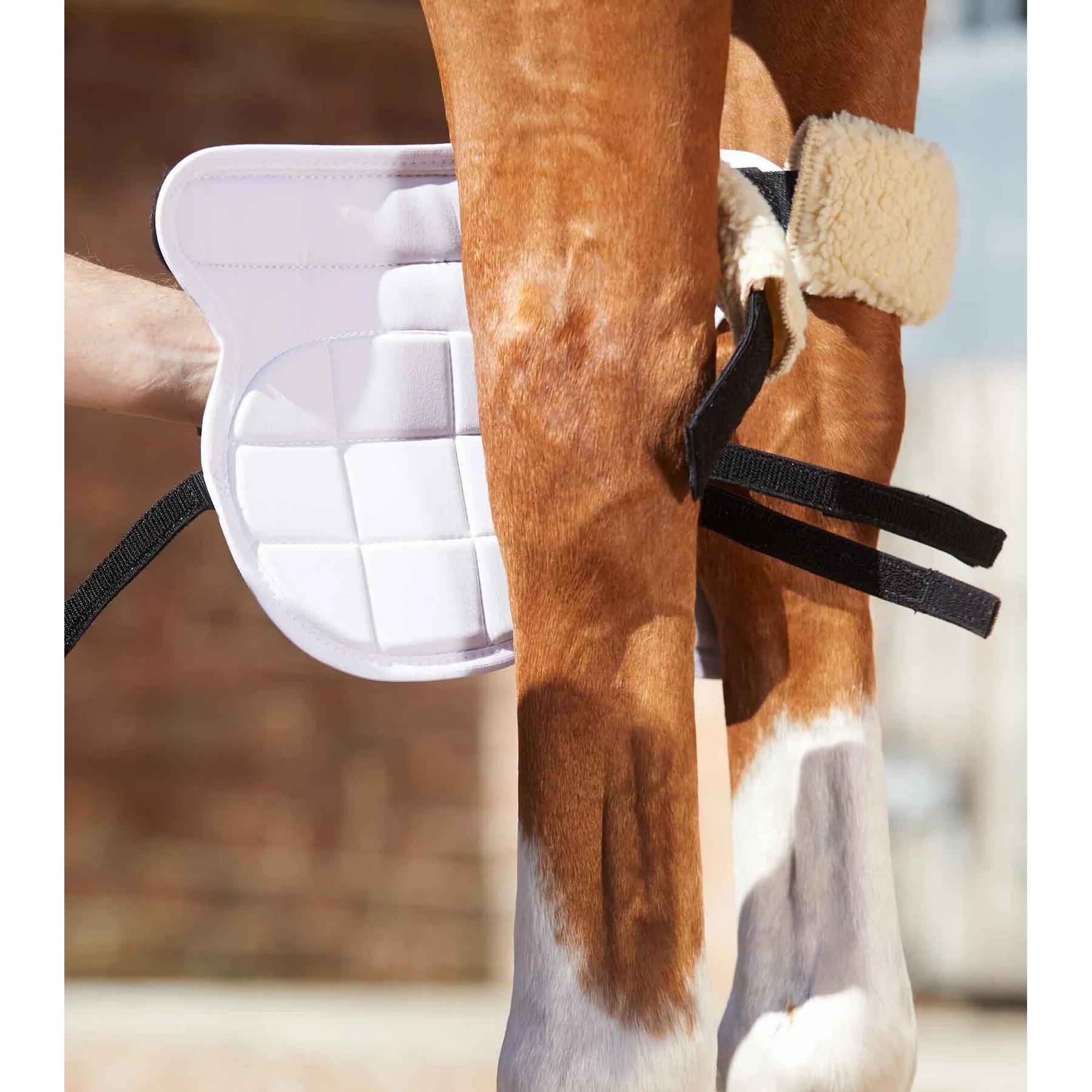 product/p/r/premier-equine_1014_4.jpg