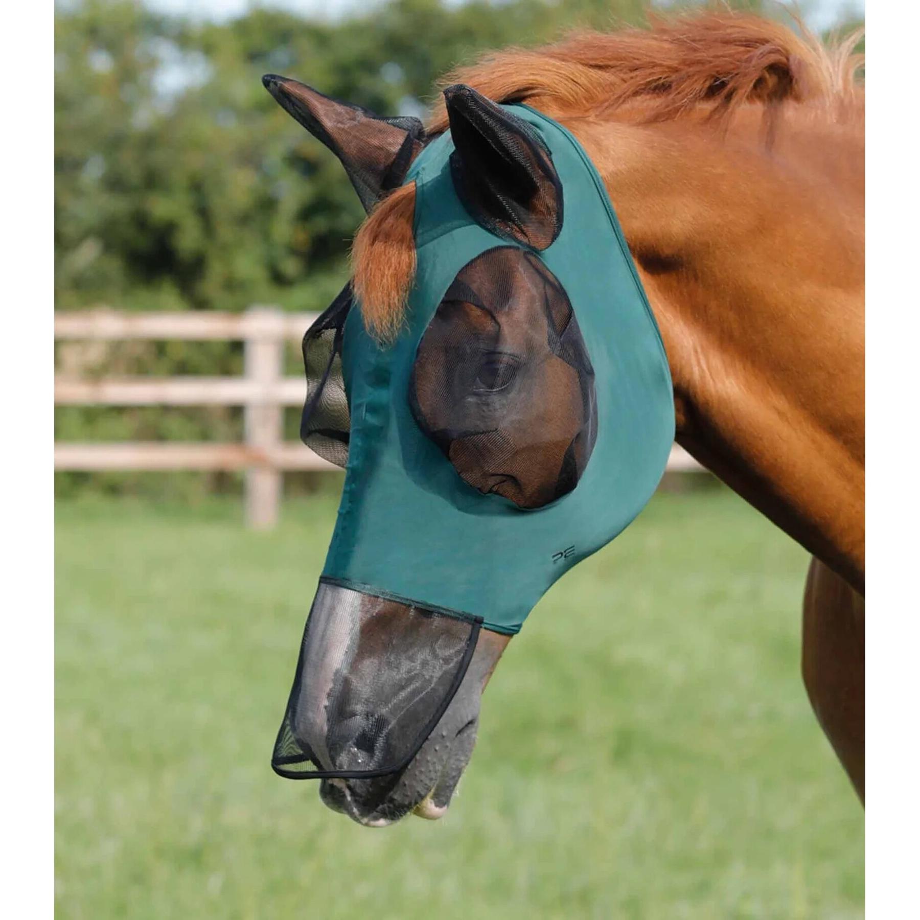 product/p/r/premier-equine_6301sgre_1.jpg