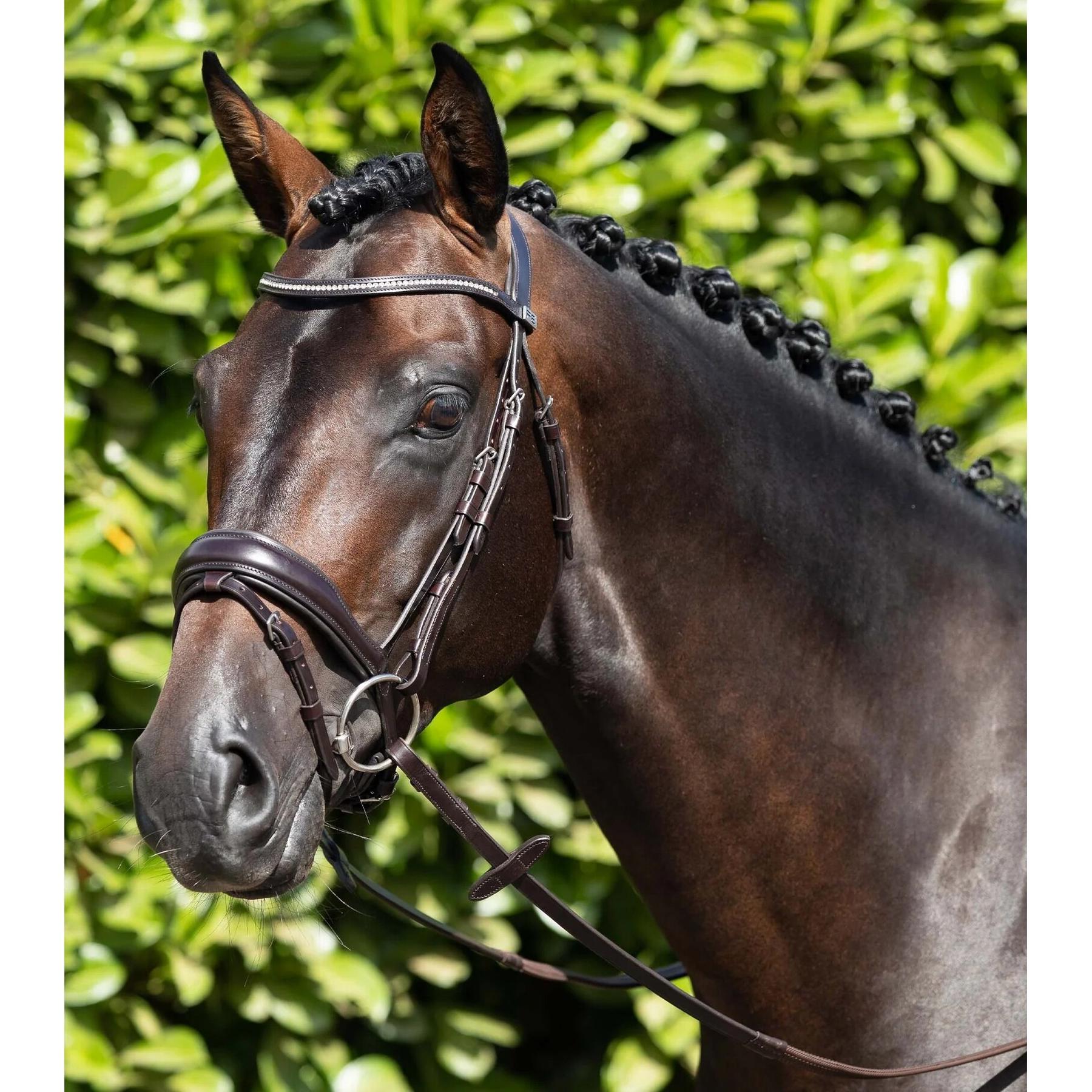 product/p/r/premier-equine_8013-cbrw_1.jpg