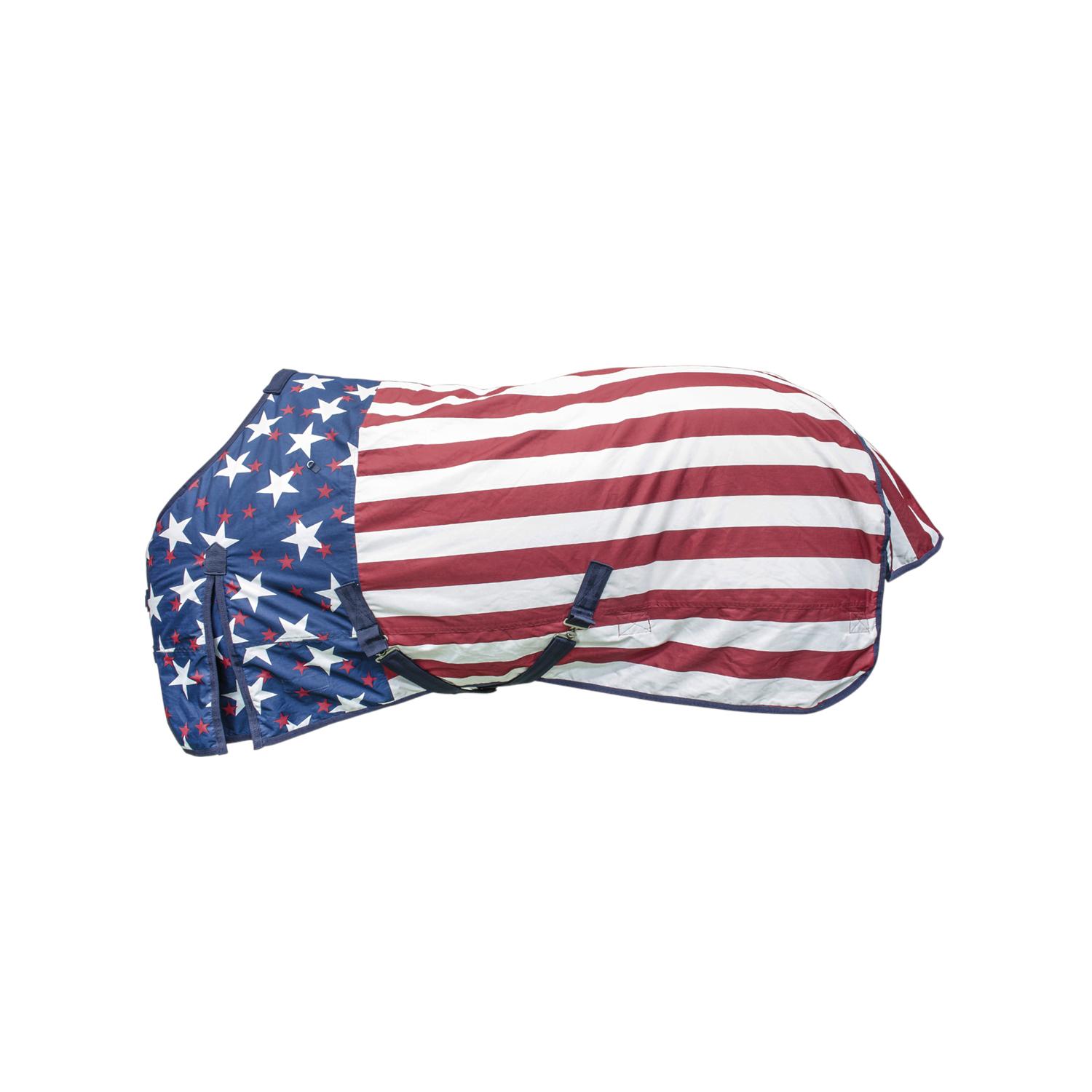 product/p/r/pro-tech_co00274a-usaflag_usaflag_1.jpg