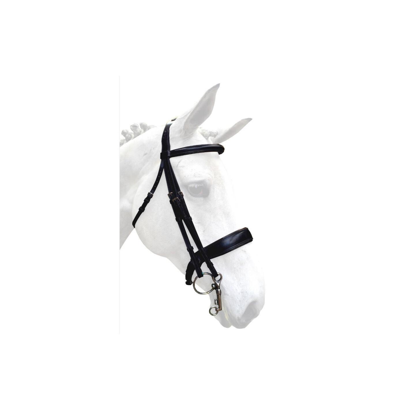 product/s/i/silver-crown_gt03bc_choco-verni_1.jpg