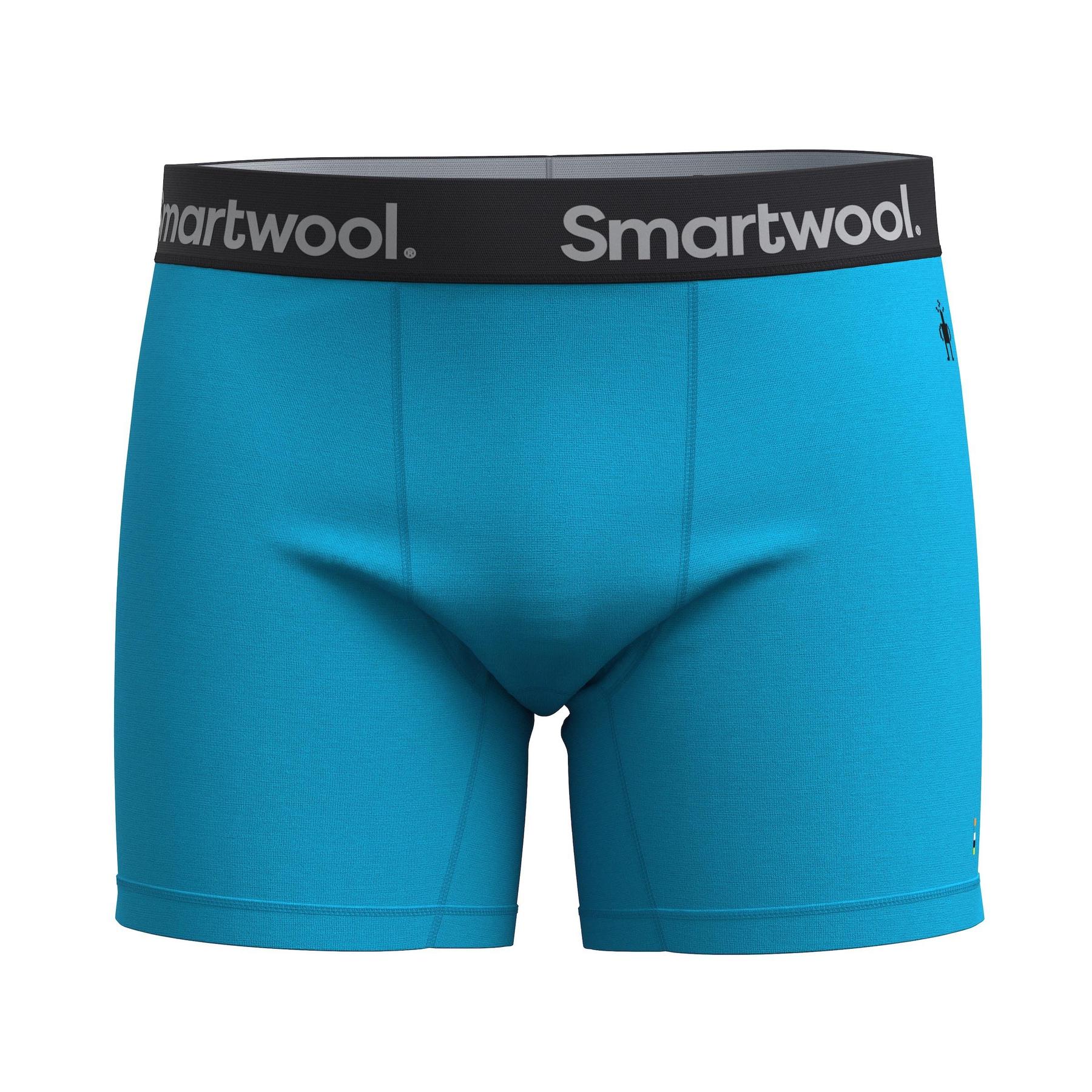 product/s/m/smartwool_sw016996n181_pool-blue_1.jpg