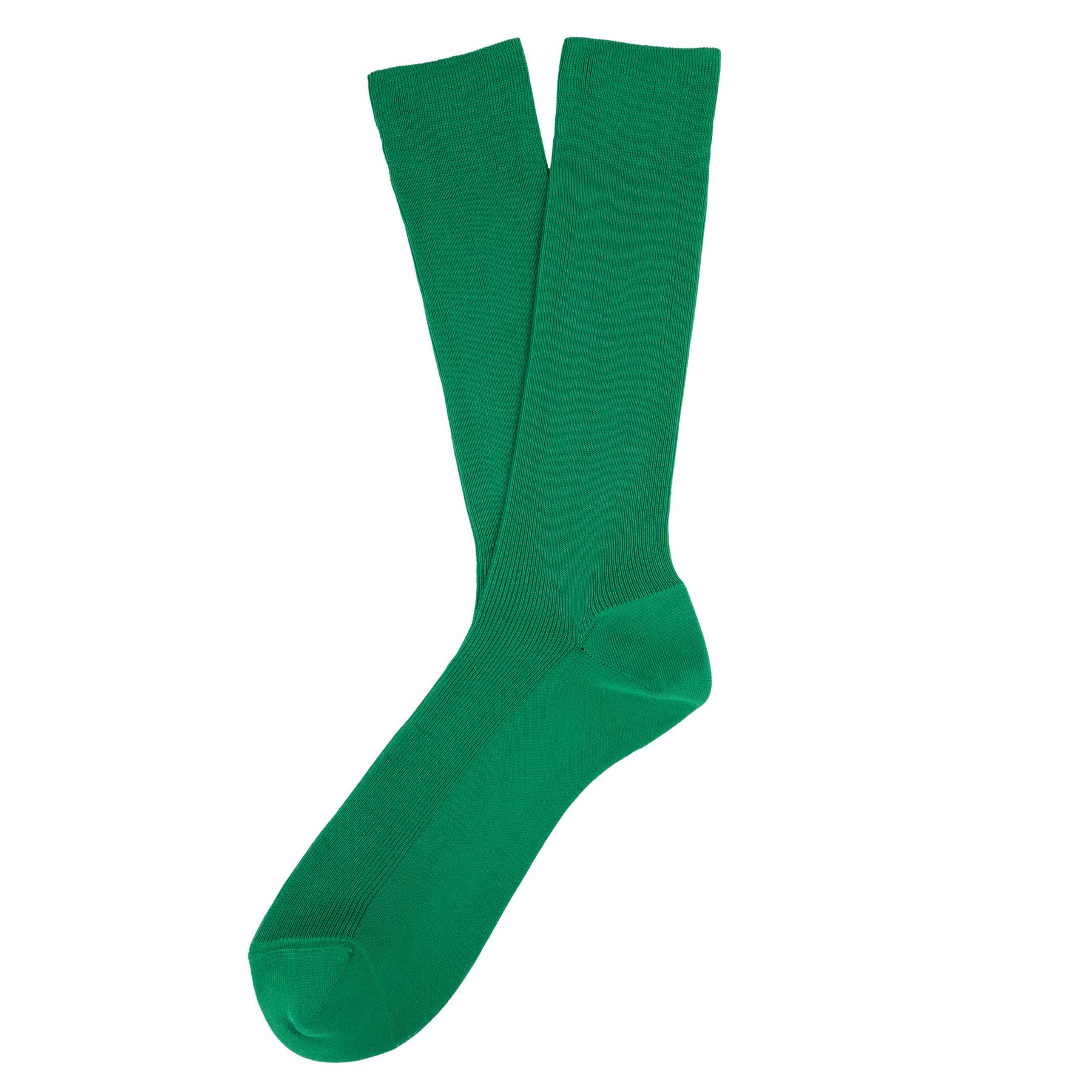 product/s/p/spasso_sp800-greenfield_green-field_1.jpg